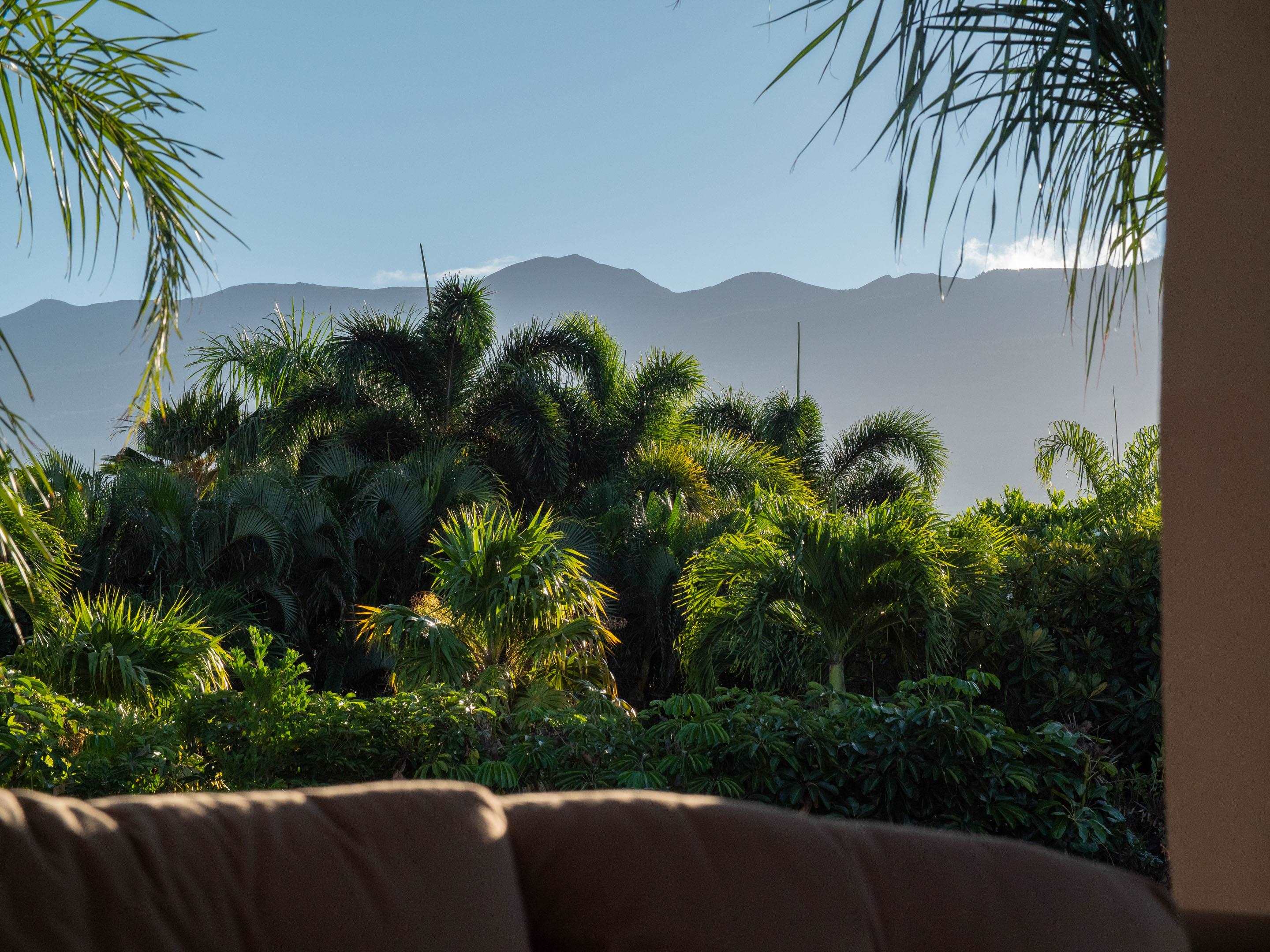 3179  Noho Loihi Way Wailea, Wailea/Makena home - photo 27 of 47