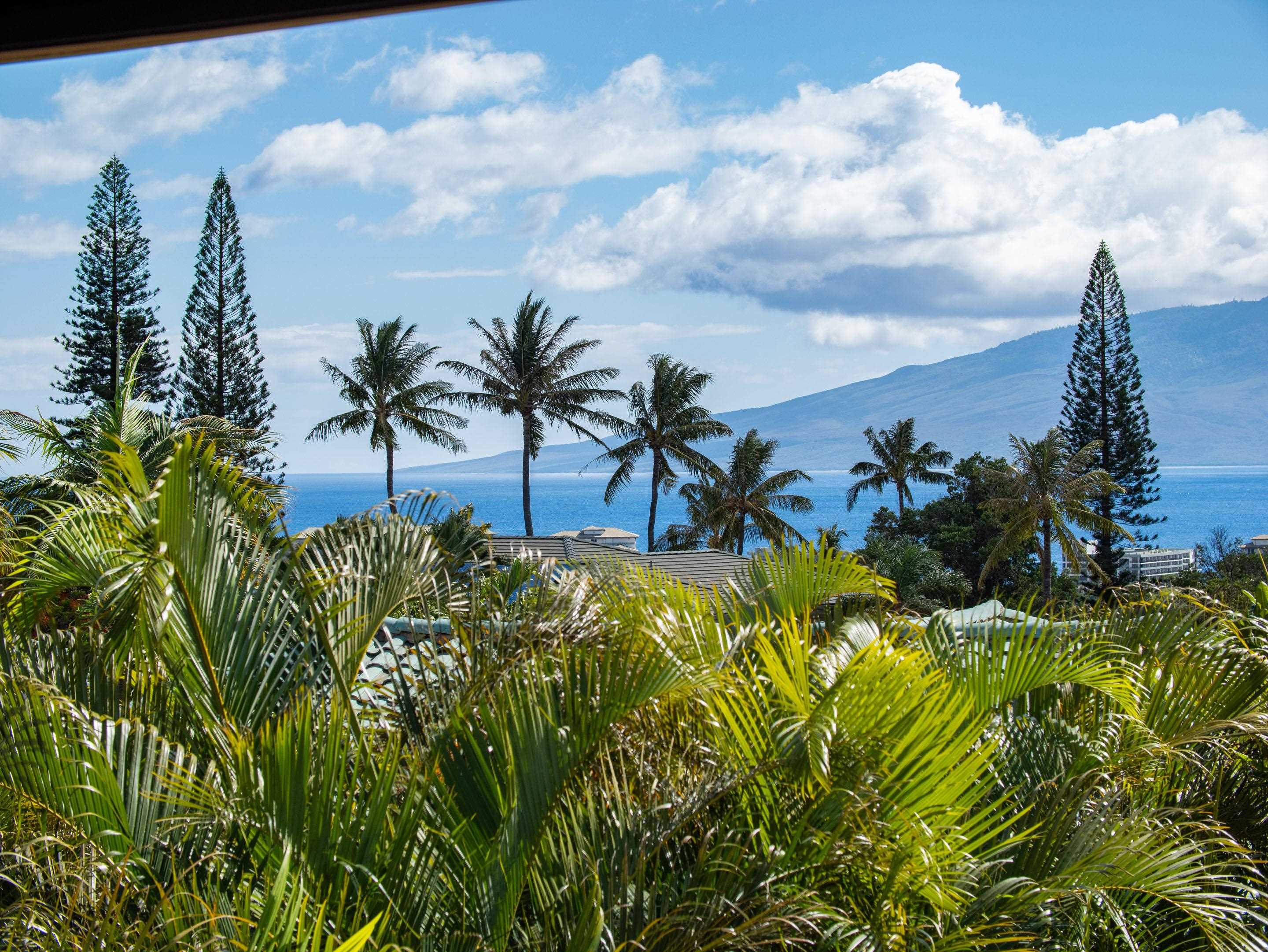 318  Aalii Way Kaanapali, Kaanapali home - photo 11 of 50