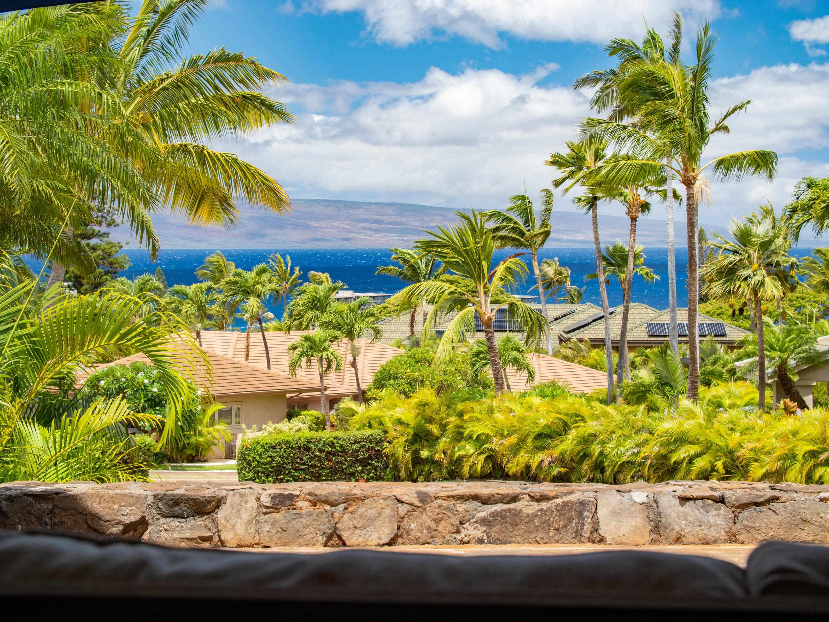 318  Aalii Way Kaanapali, Kaanapali home - photo 38 of 50