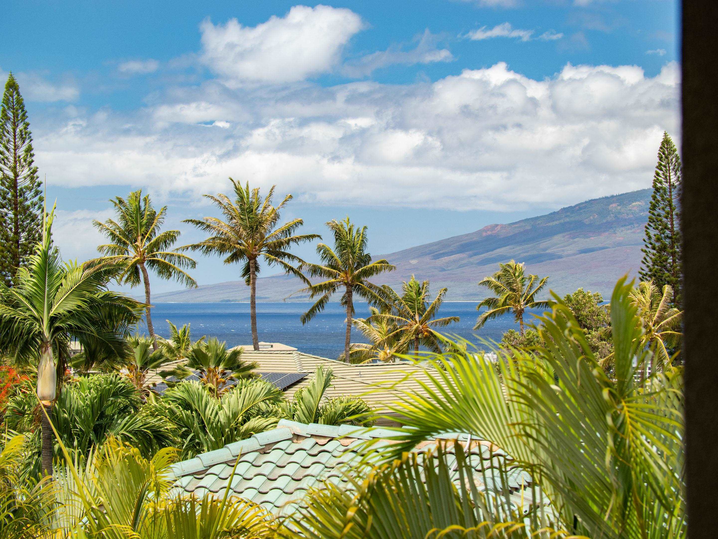 318  Aalii Way Kaanapali, Kaanapali home - photo 7 of 50