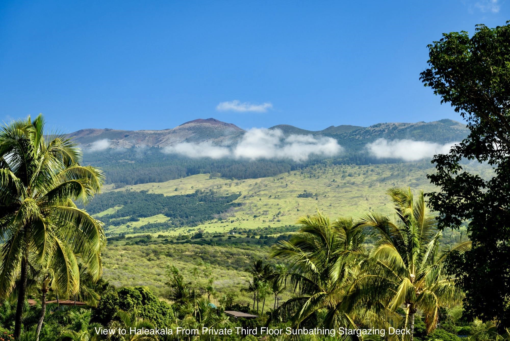 3187  Nahenahe Pl Maui Meadows, Maui Meadows home - photo 29 of 50