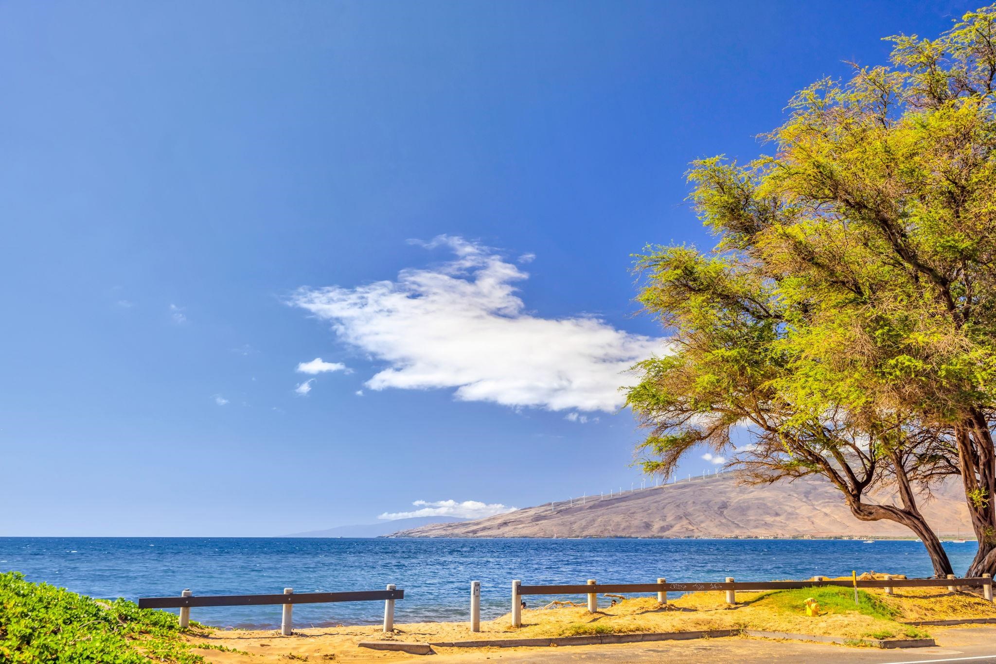 Kai Makani condo # N203, Kihei, Hawaii - photo 48 of 50