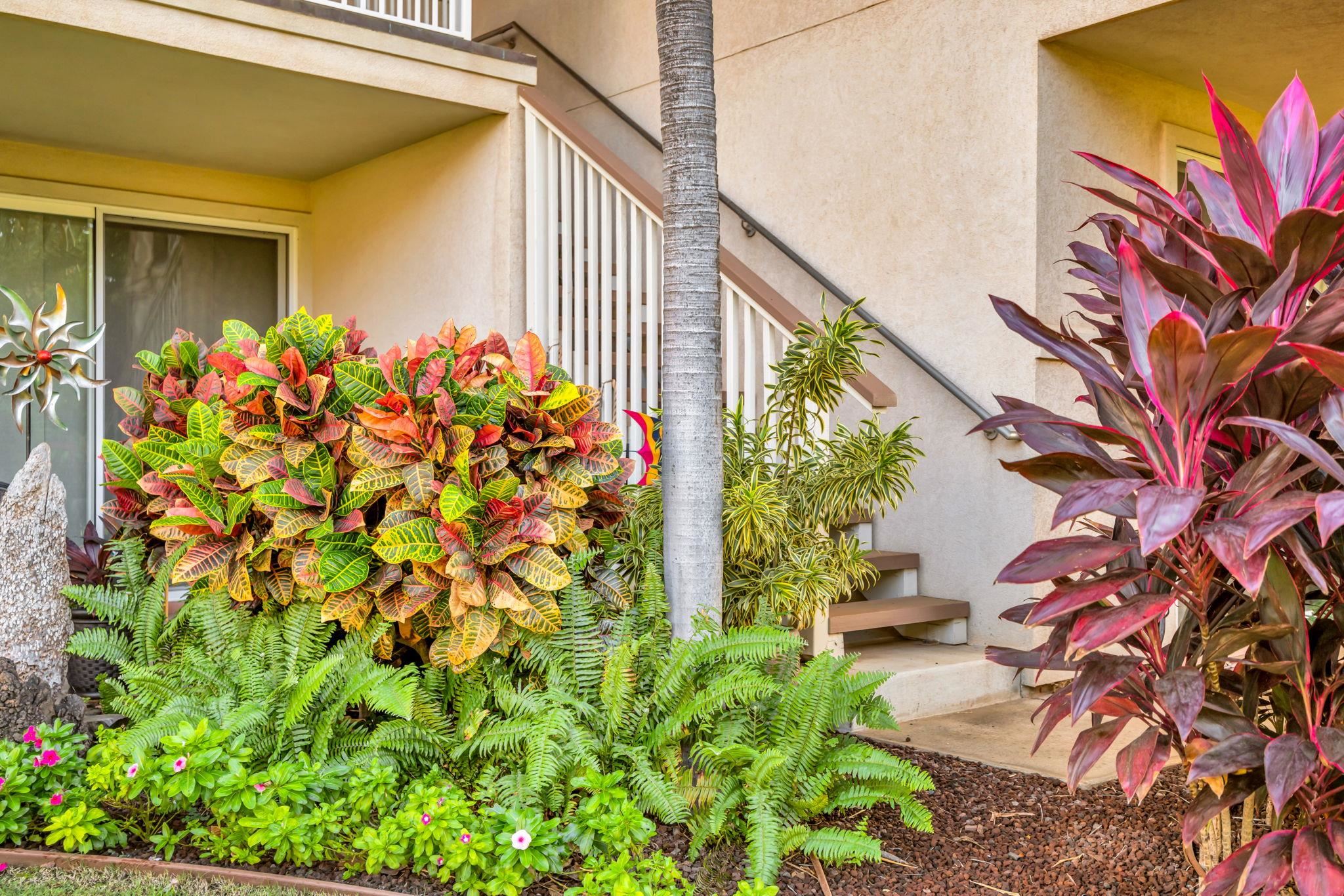 Kai Makani condo # N203, Kihei, Hawaii - photo 35 of 50