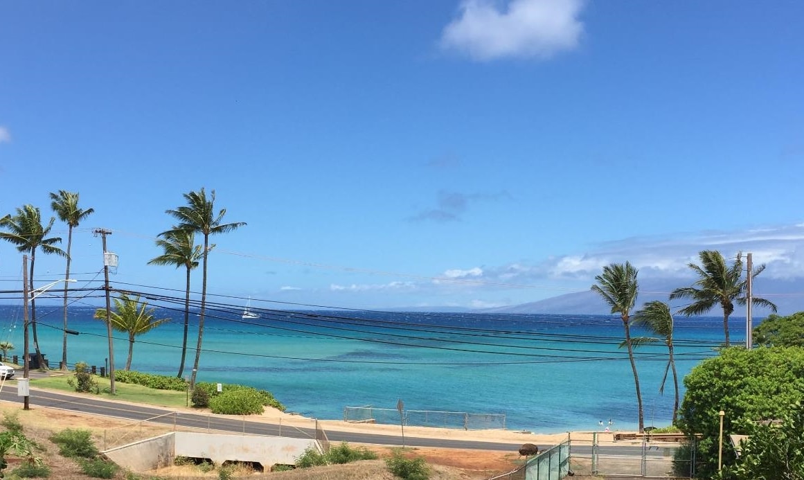 32  Piina Pl , Napili/Kahana/Honokowai home - photo 18 of 19