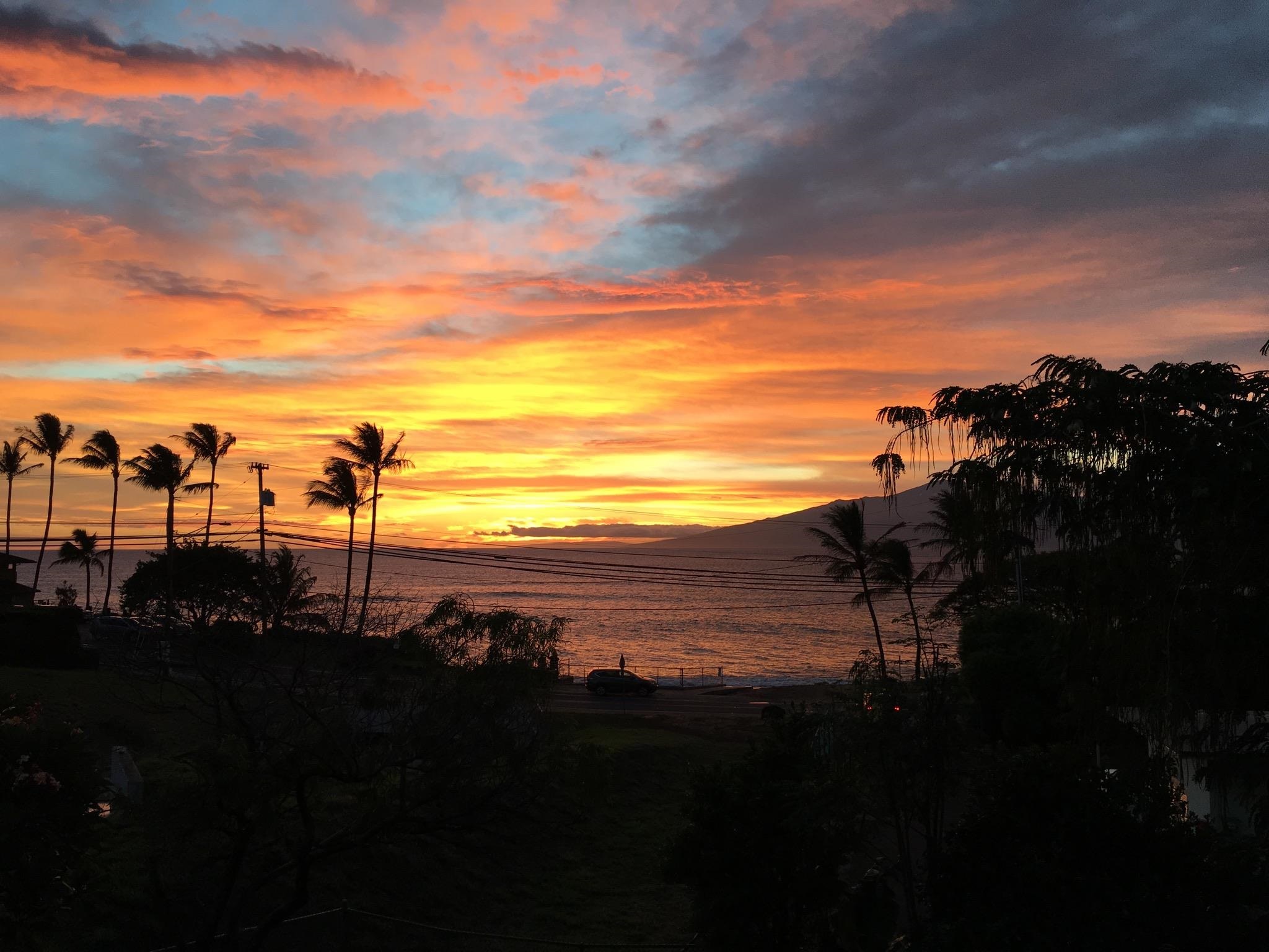 32  Piina Pl , Napili/Kahana/Honokowai home - photo 19 of 19