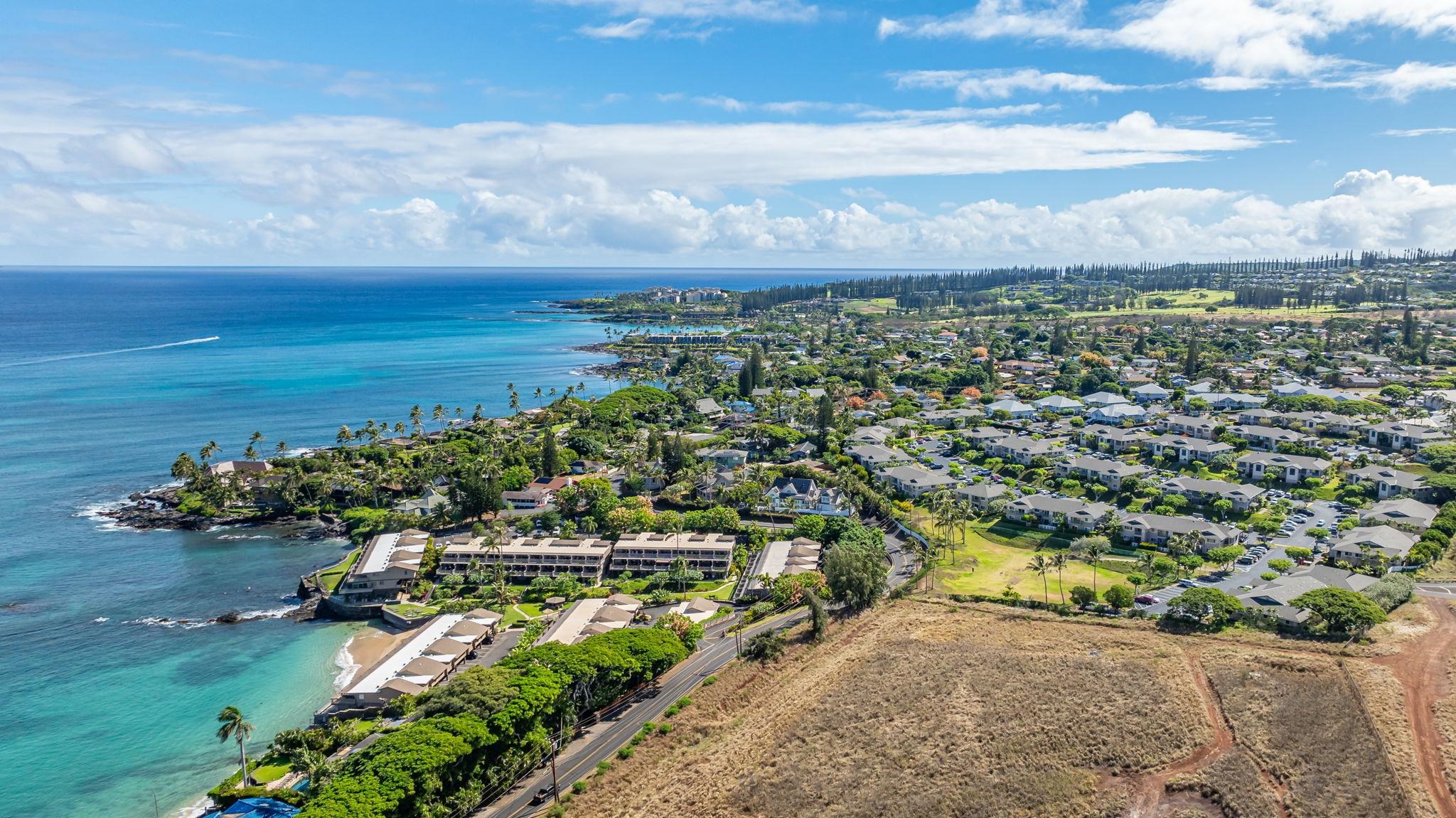 Napili Villas condo # 18-7, Lahaina, Hawaii - photo 41 of 42