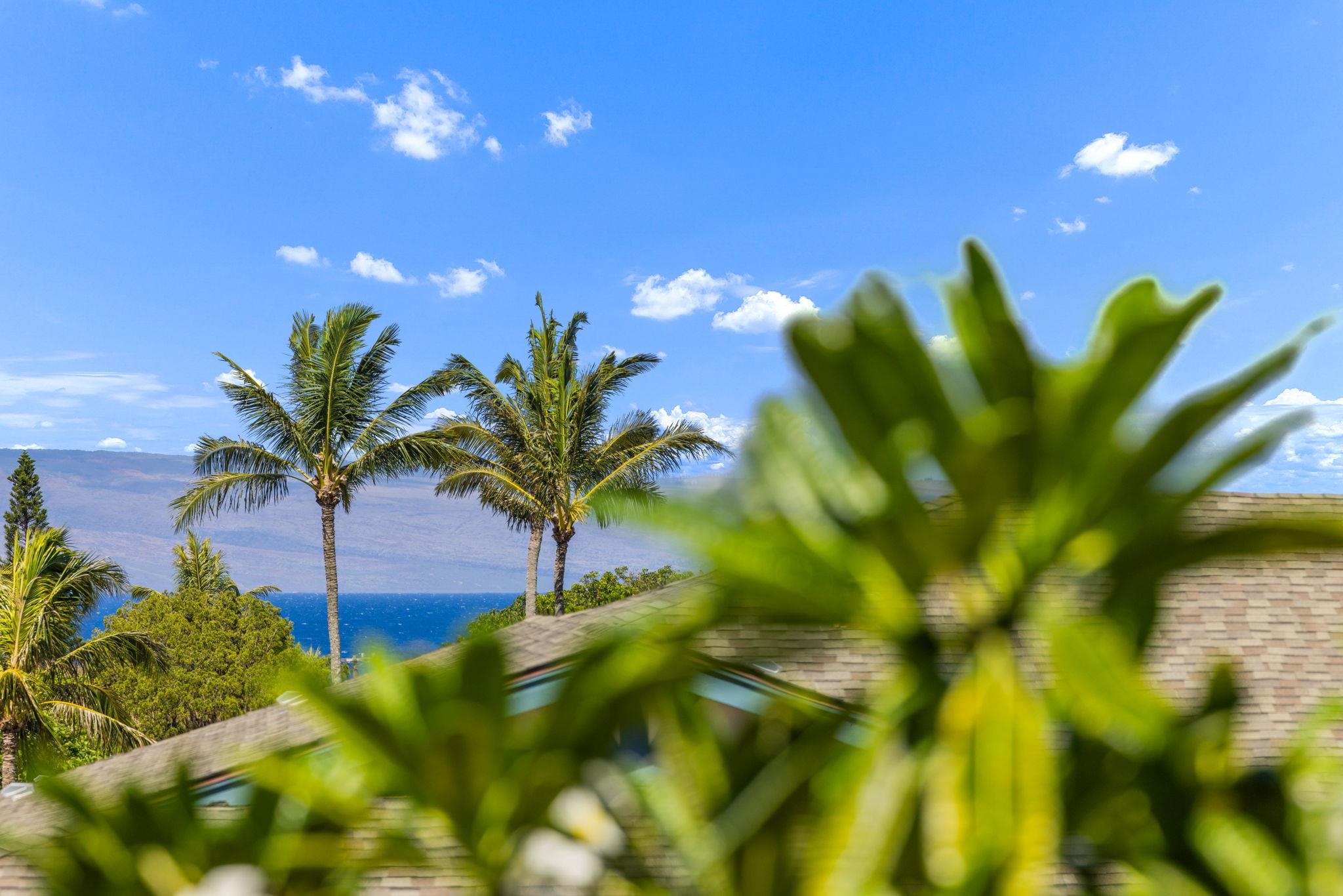 Napili Villas condo # 18-7, Lahaina, Hawaii - photo 10 of 42