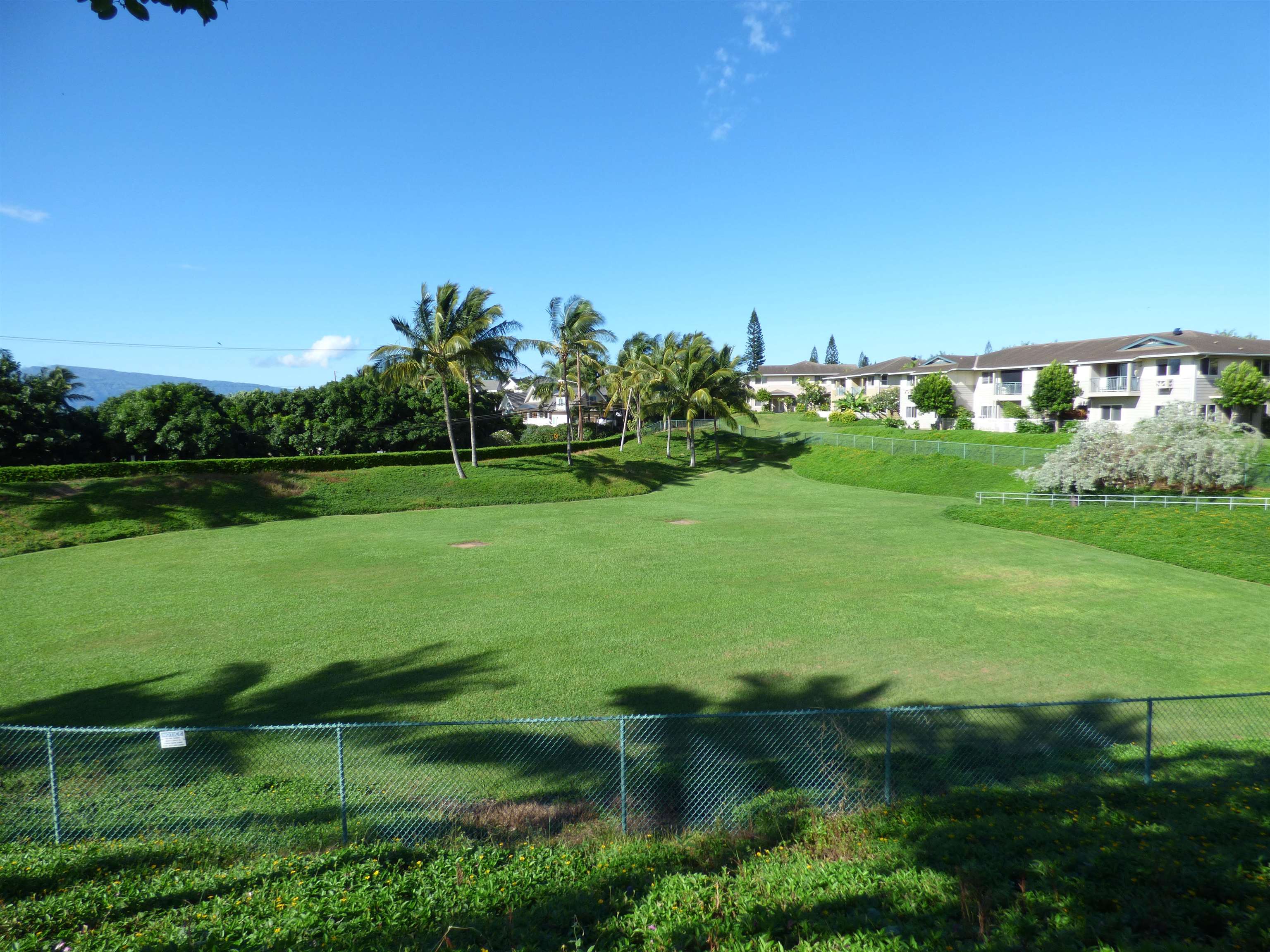 Napili Villas condo # 4, Lahaina, Hawaii - photo 34 of 34