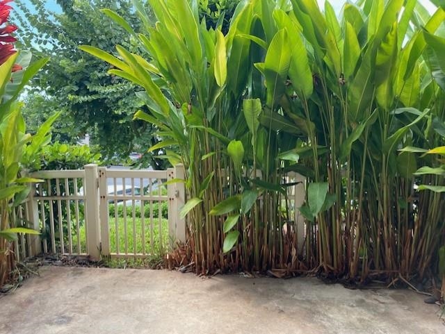 Napili Villas condo # 4, Lahaina, Hawaii - photo 29 of 35