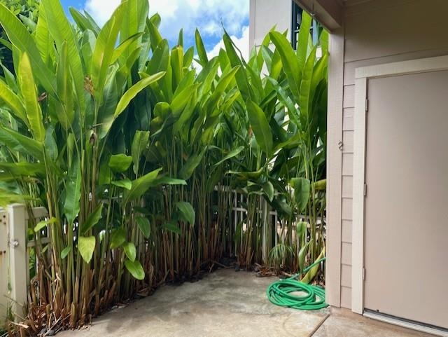 Napili Villas condo # 4, Lahaina, Hawaii - photo 30 of 35