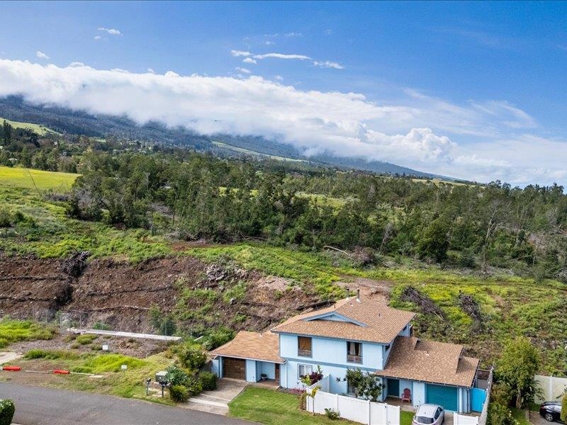 320  Kulalani Dr , Kula/Ulupalakua/Kanaio home - photo 39 of 46