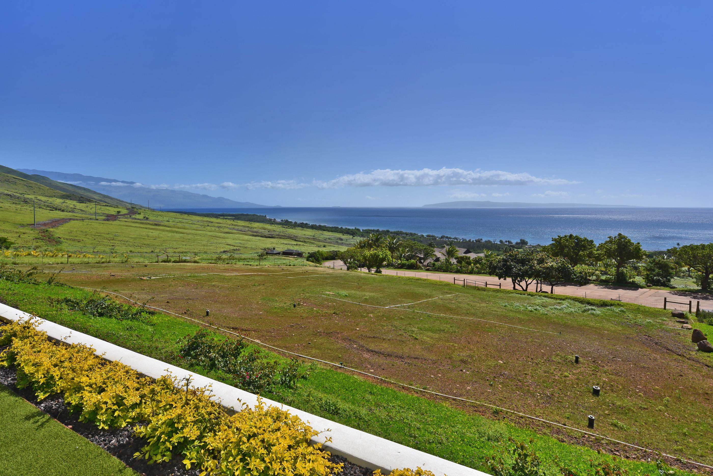 320  Luawai St Olowalu, Olowalu home - photo 45 of 50