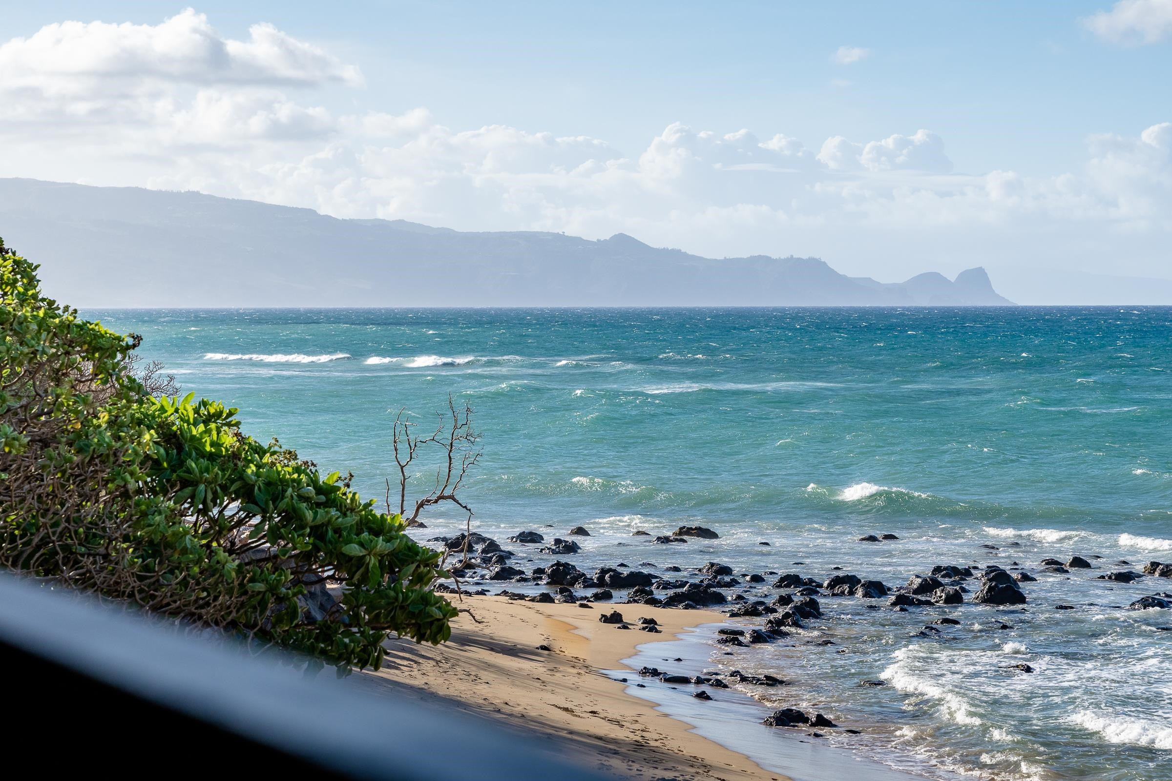 Sugar Cove condo # 6A&B, Paia, Hawaii - photo 40 of 45