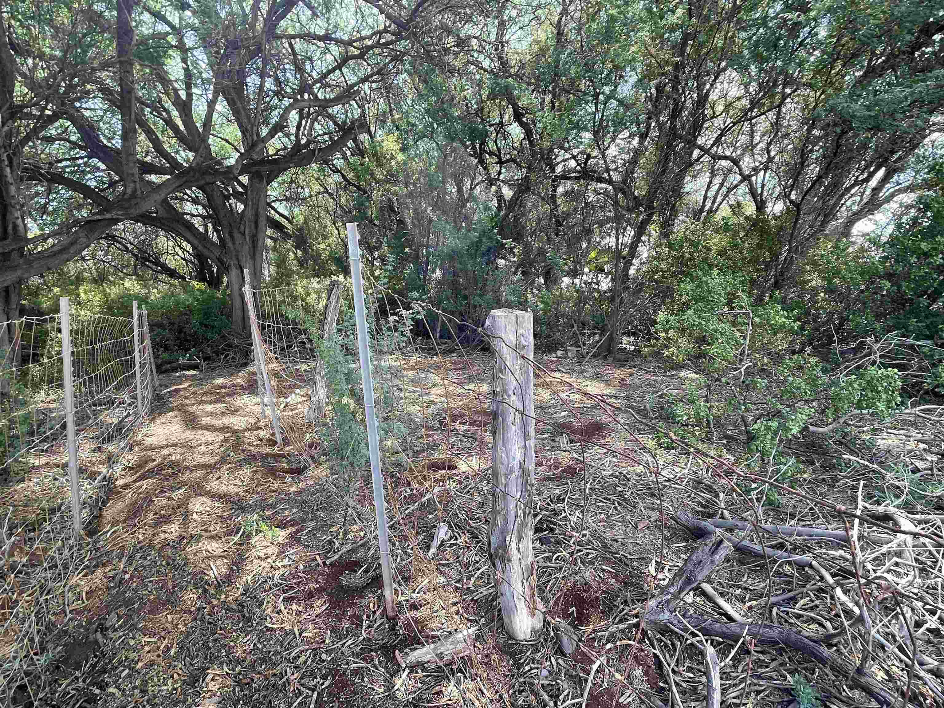 320 Seaside Pl  Kaunakakai, Hi vacant land for sale - photo 18 of 20