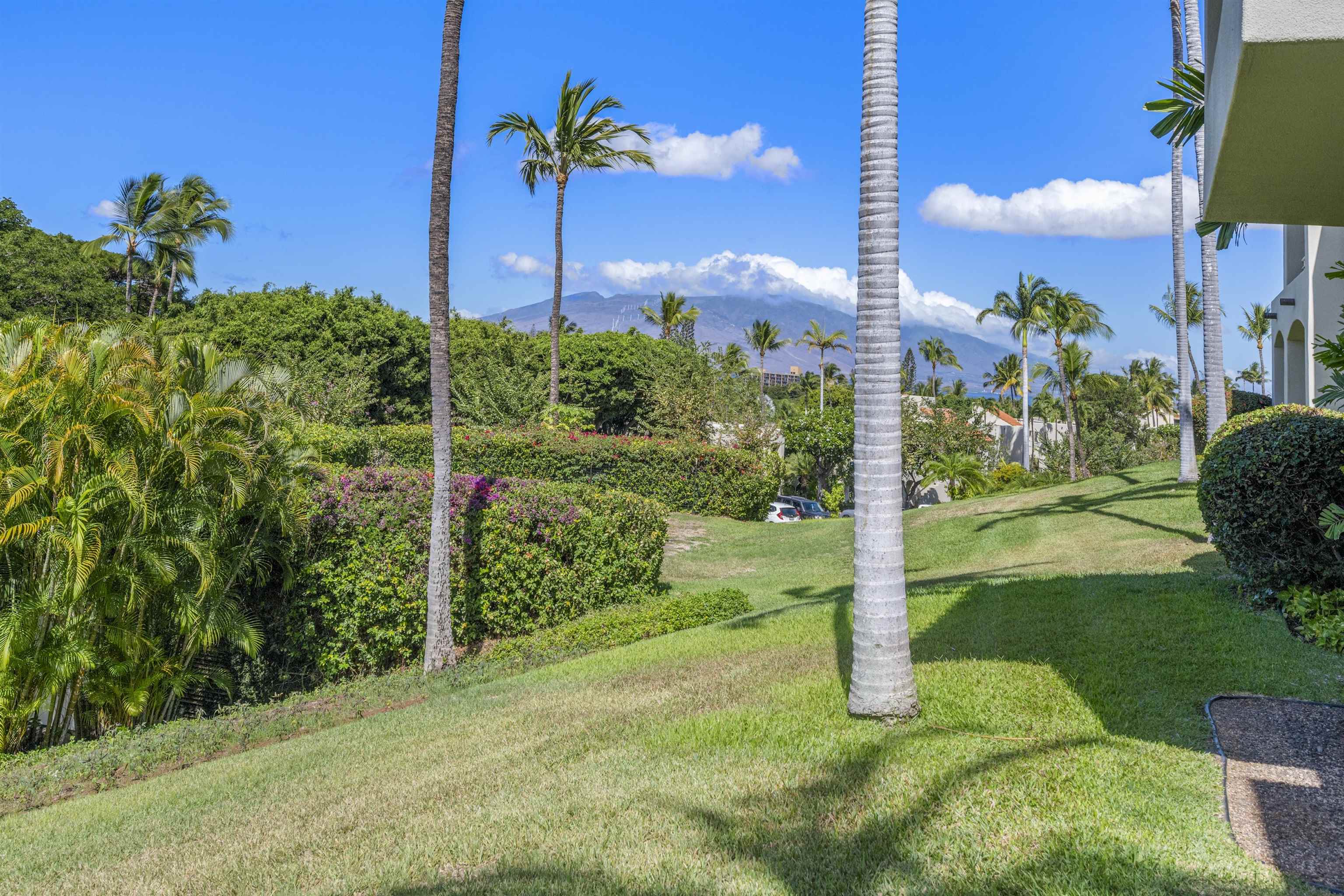 Palms at Wailea I condo # 1605, Kihei, Hawaii - photo 27 of 32