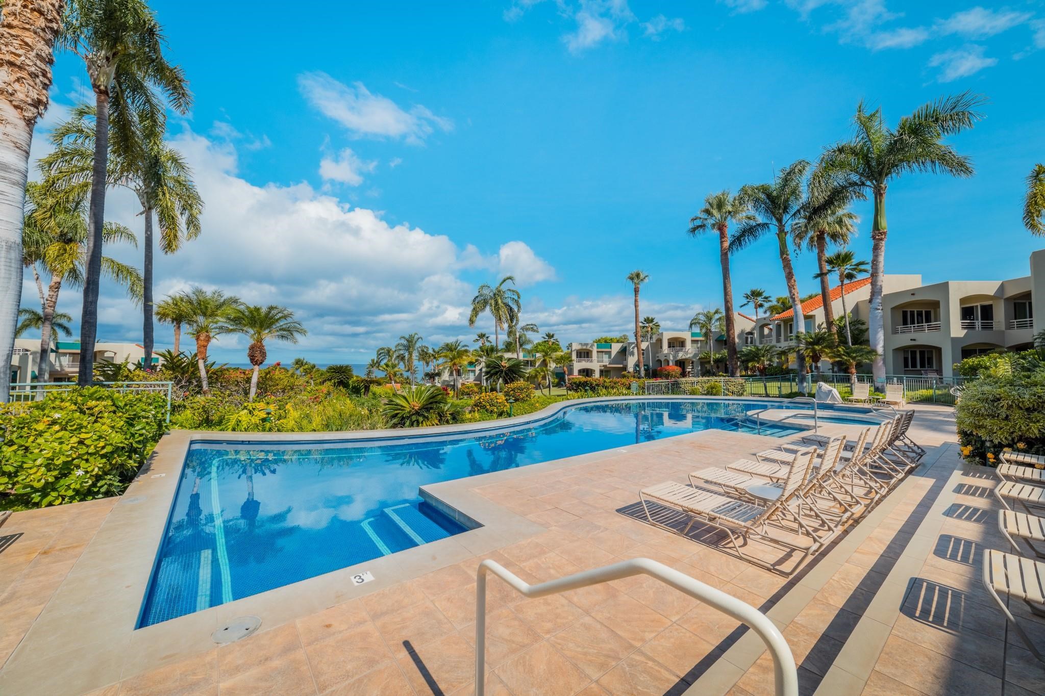 Palms at Wailea I condo # 1606, Kihei, Hawaii - photo 39 of 45