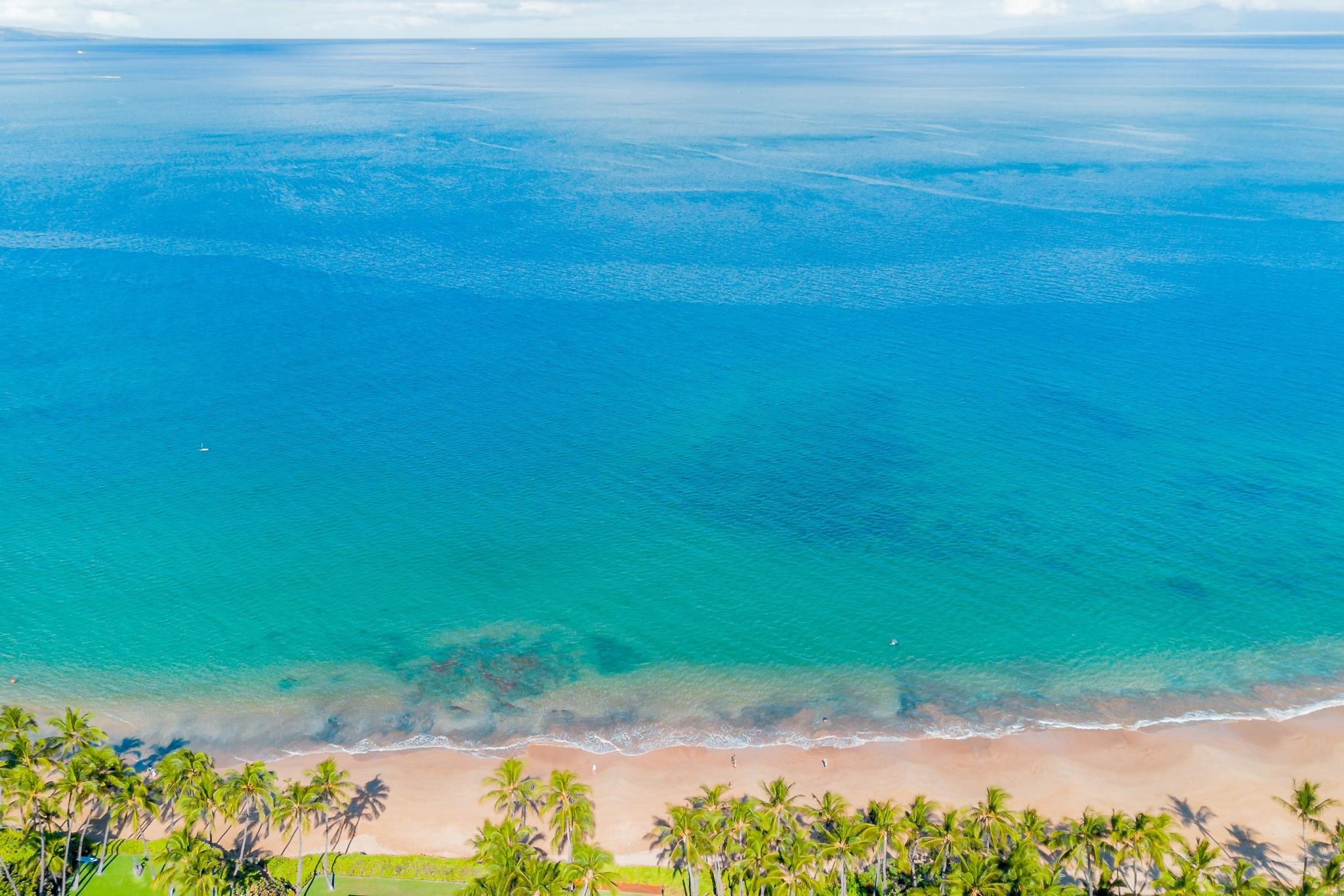 Palms at Wailea I condo # 1606, Kihei, Hawaii - photo 42 of 45
