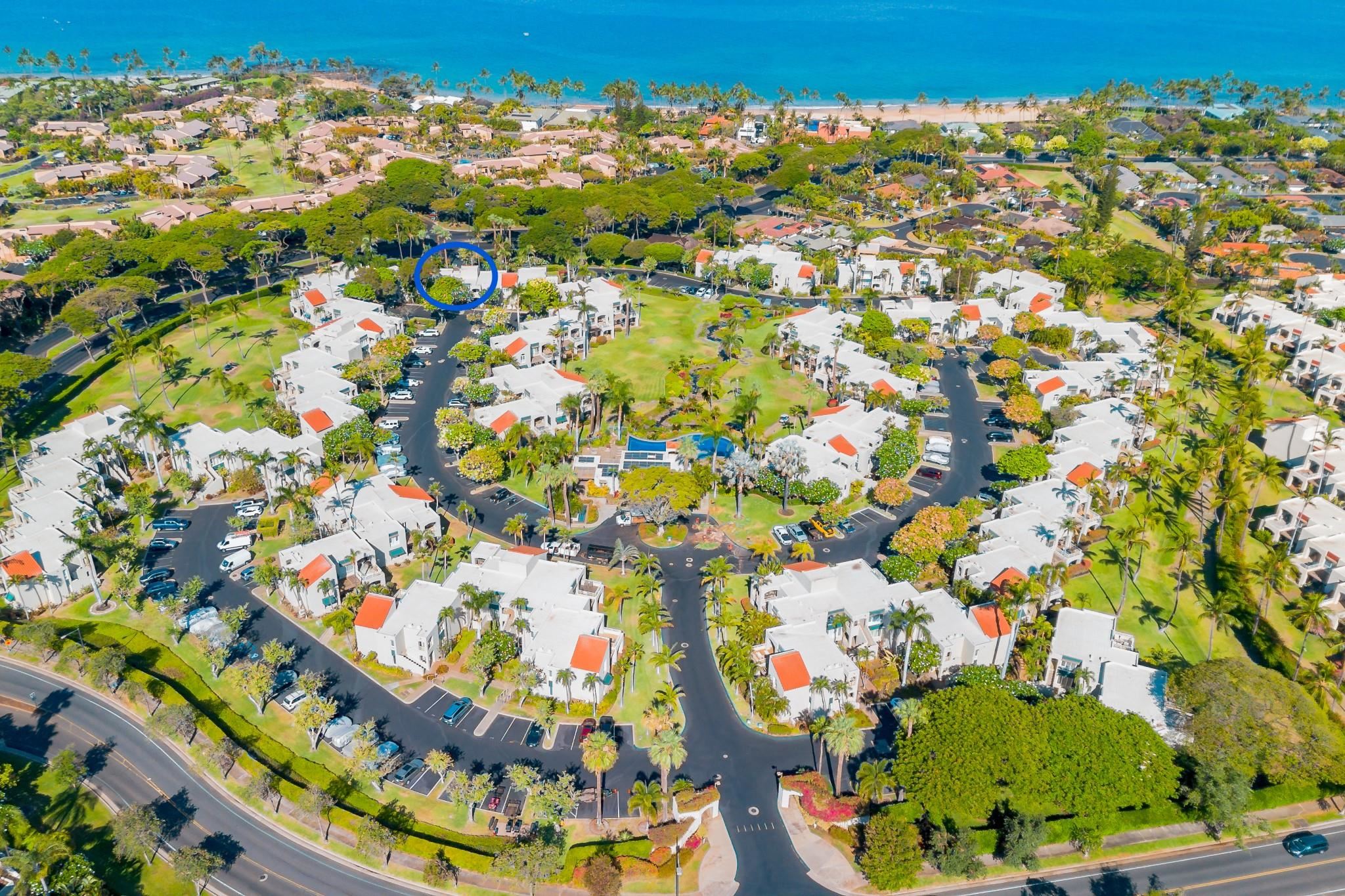 Palms at Wailea I condo # 1606, Kihei, Hawaii - photo 44 of 45