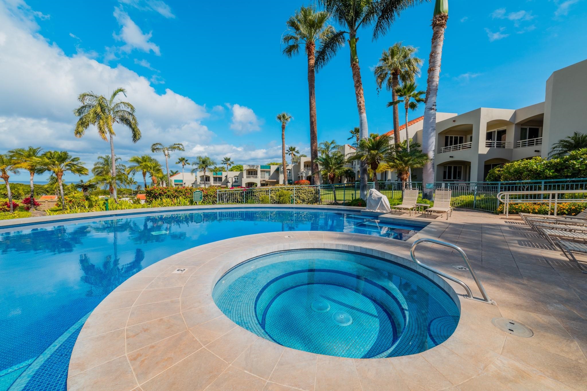 Palms at Wailea I condo # 1606, Kihei, Hawaii - photo 42 of 50