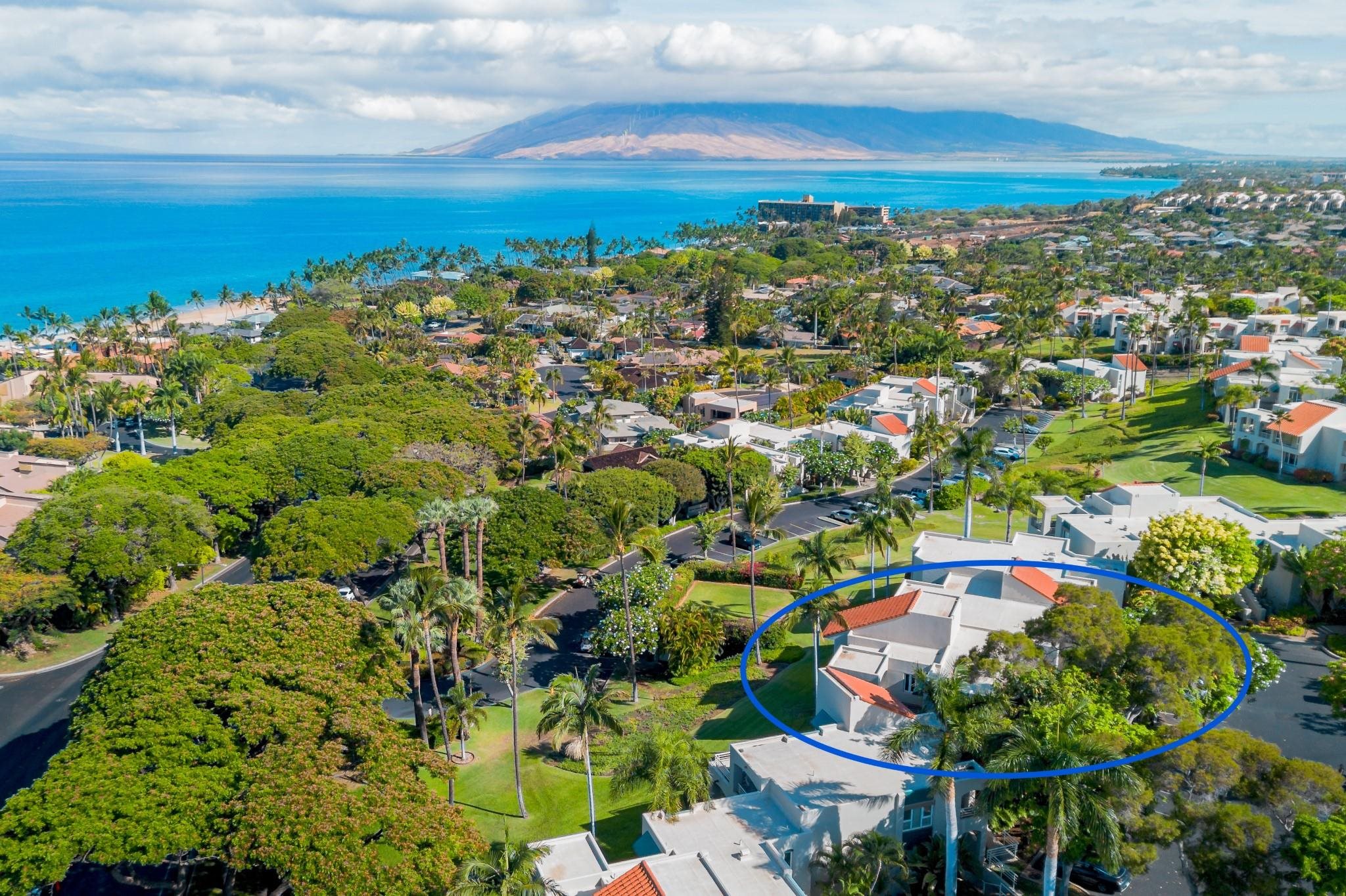 Palms at Wailea I condo # 1606, Kihei, Hawaii - photo 46 of 50