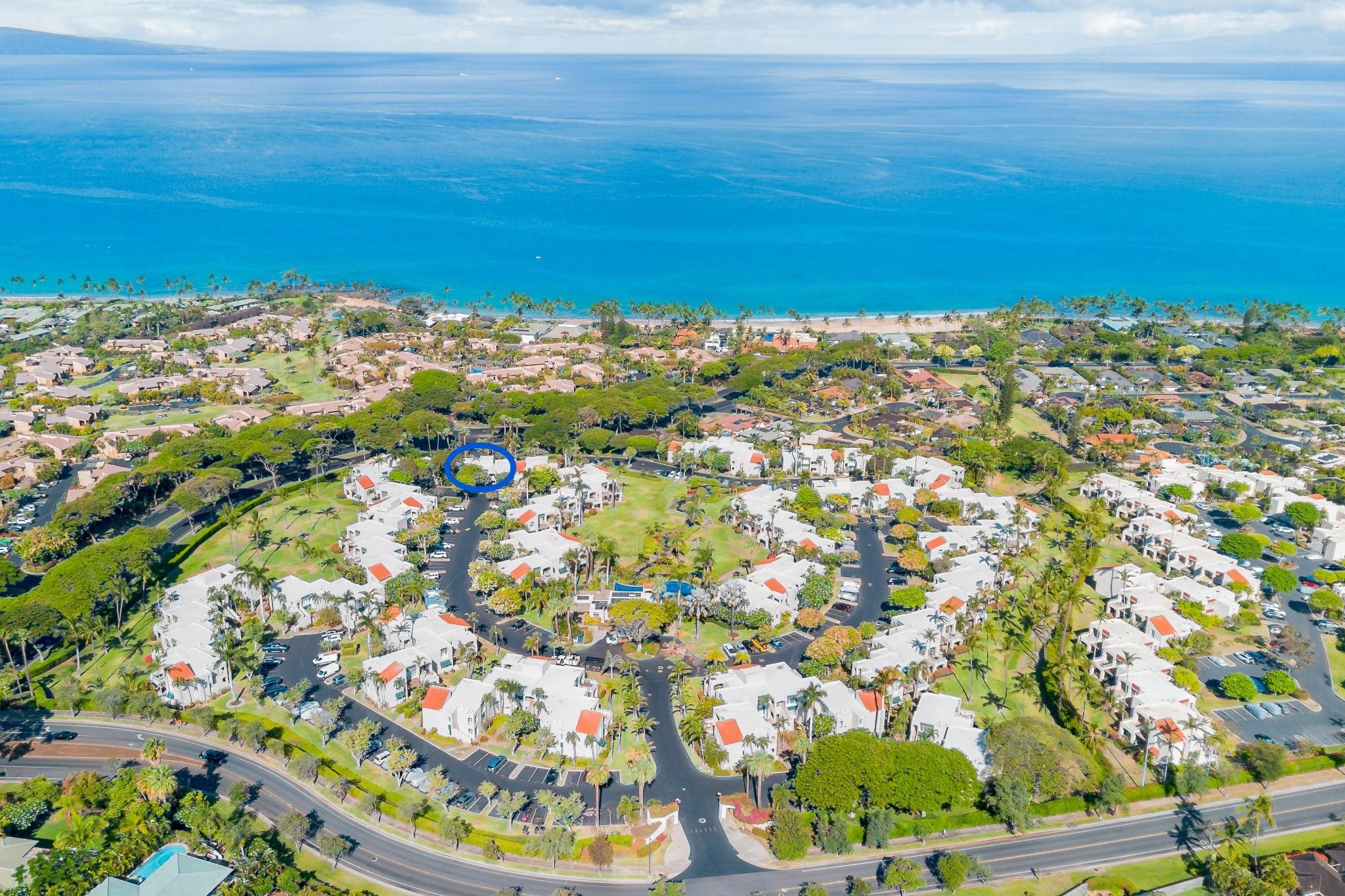 Palms at Wailea I condo # 1606, Kihei, Hawaii - photo 48 of 50
