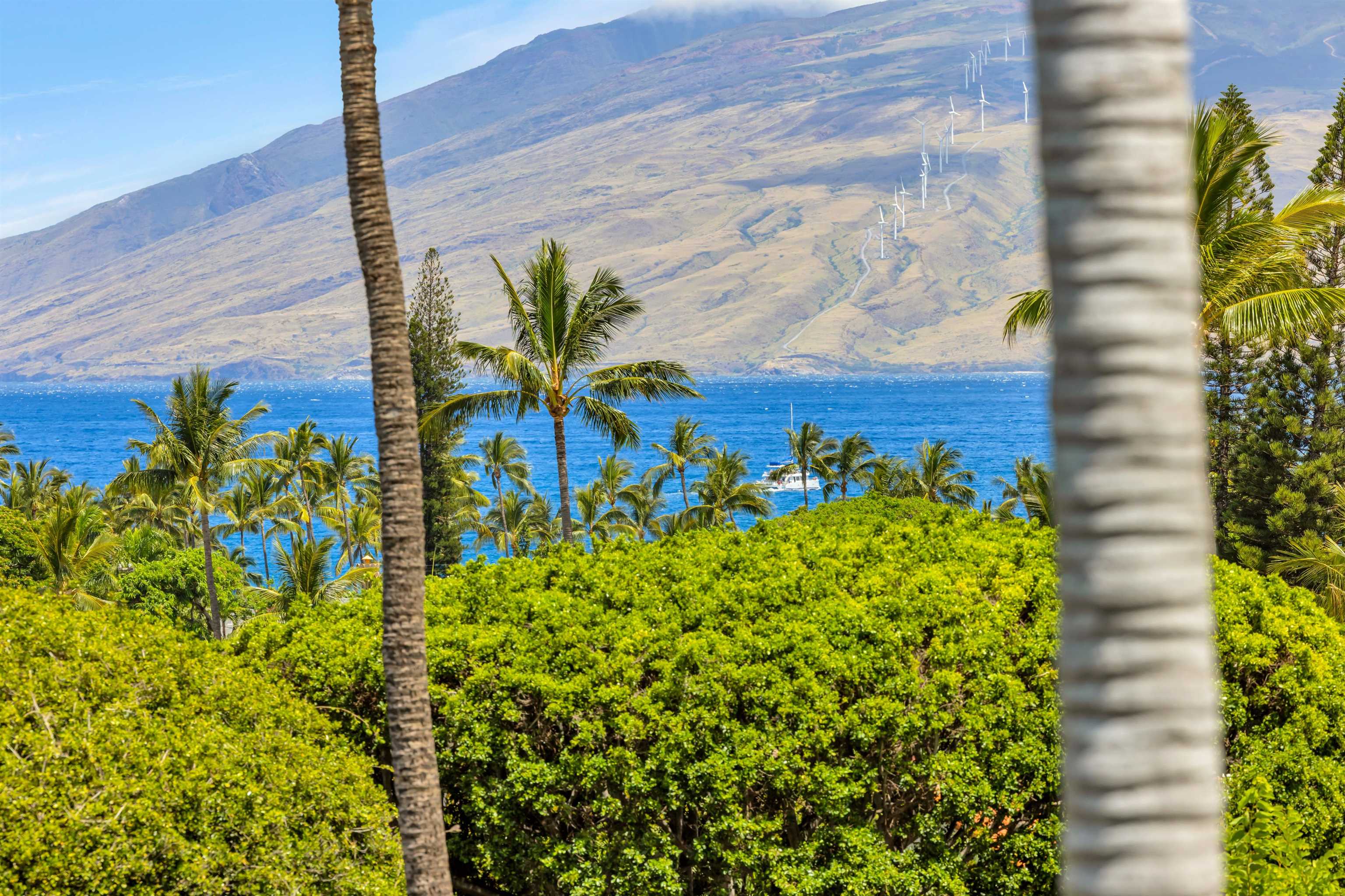 Palms at Wailea I condo # 1606, Kihei, Hawaii - photo 15 of 50
