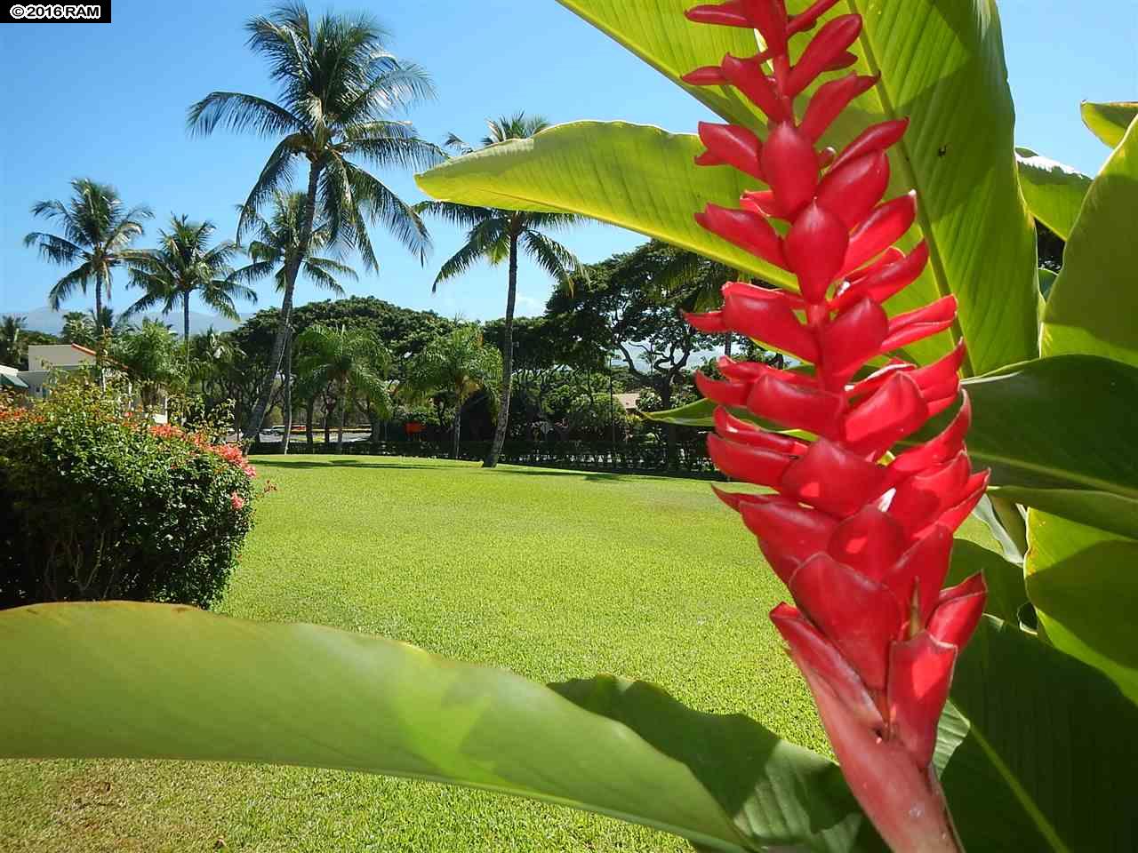 Palms at Wailea I condo # 1801, Kihei, Hawaii - photo 2 of 30