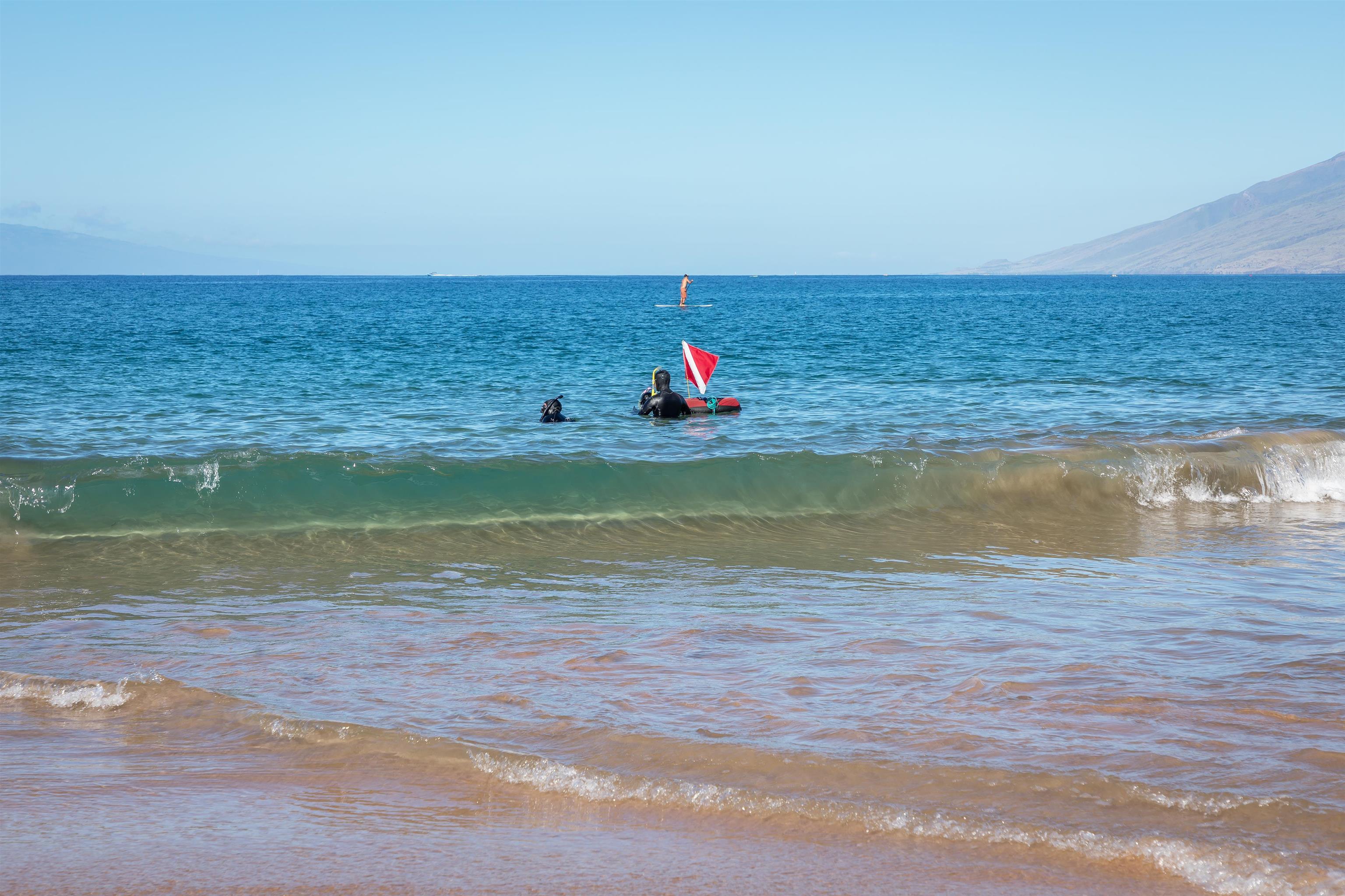 Palms at Wailea I condo # 1803, Kihei, Hawaii - photo 31 of 35
