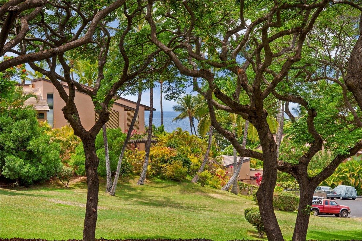 Palms at Wailea I condo # 2001, Kihei, Hawaii - photo 23 of 30
