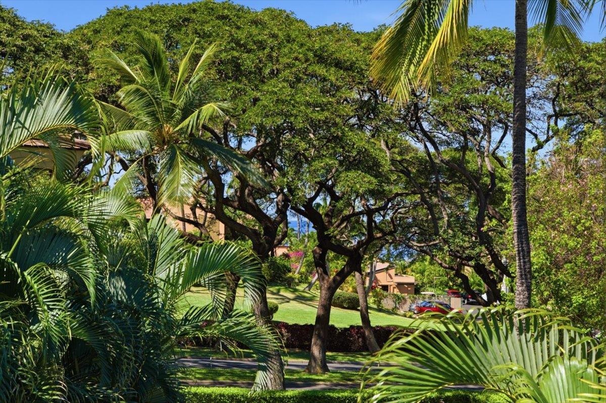 Palms at Wailea I condo # 2102, Kihei, Hawaii - photo 19 of 50