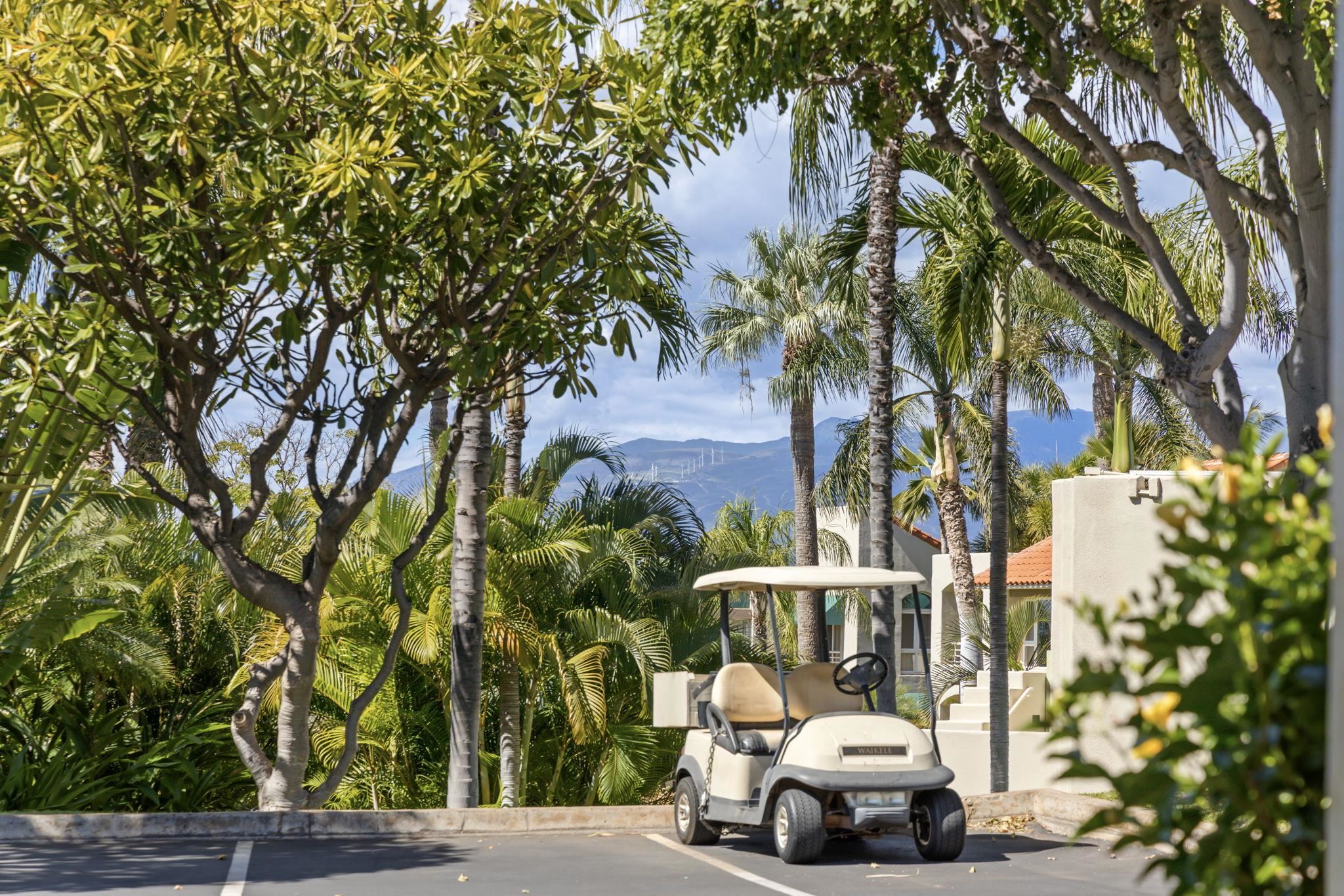 Palms at Wailea I condo # 405, Kihei, Hawaii - photo 34 of 46
