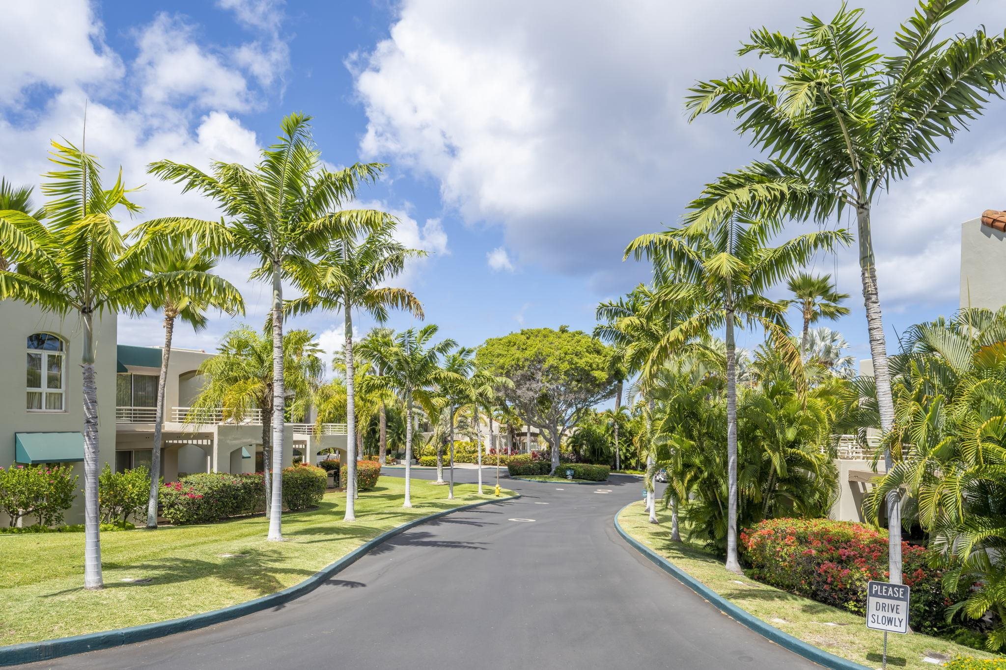 Palms at Wailea I condo # 405, Kihei, Hawaii - photo 39 of 46