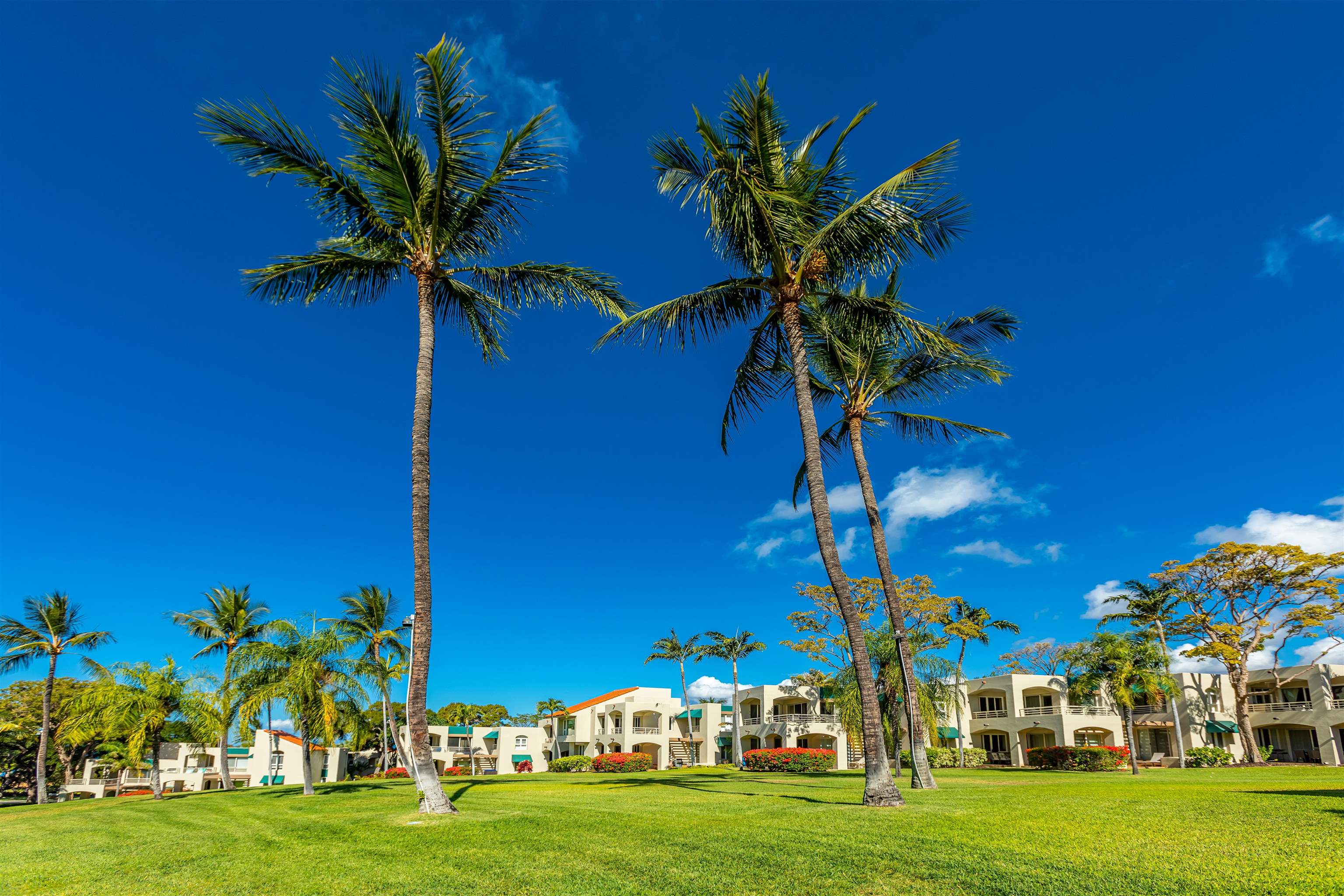 Palms at Wailea I condo # 601, Kihei, Hawaii - photo 22 of 30