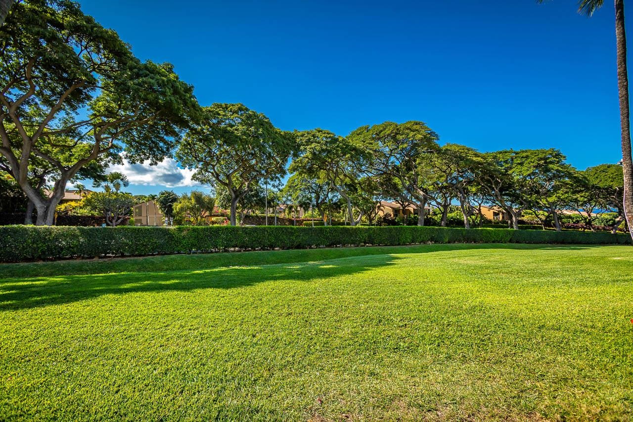 Palms at Wailea I condo # 601, Kihei, Hawaii - photo 23 of 30