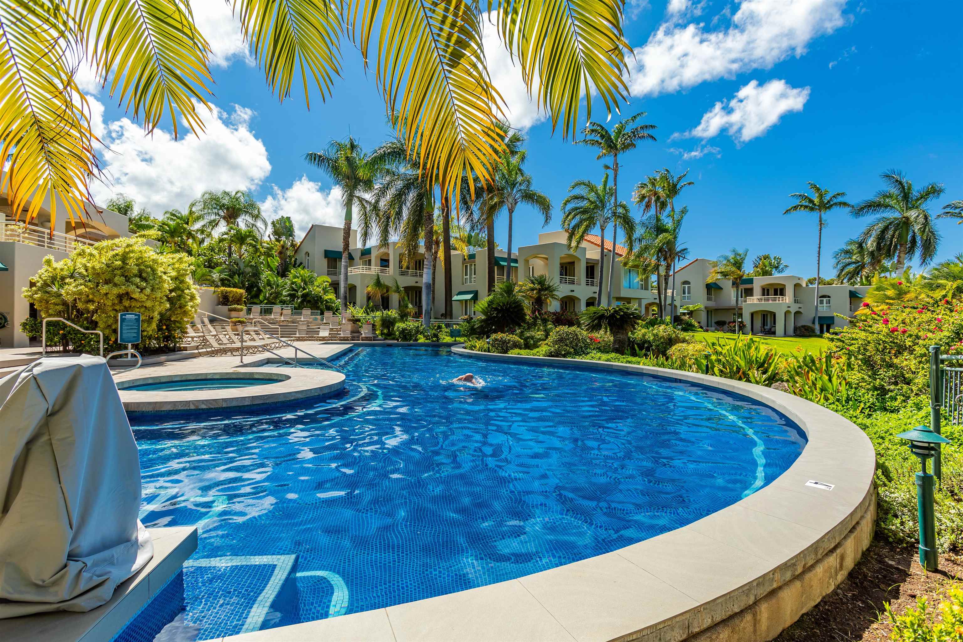 Palms at Wailea I condo # 601, Kihei, Hawaii - photo 28 of 30