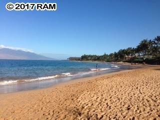 Palms at Wailea I condo # 904, Kihei, Hawaii - photo 18 of 18