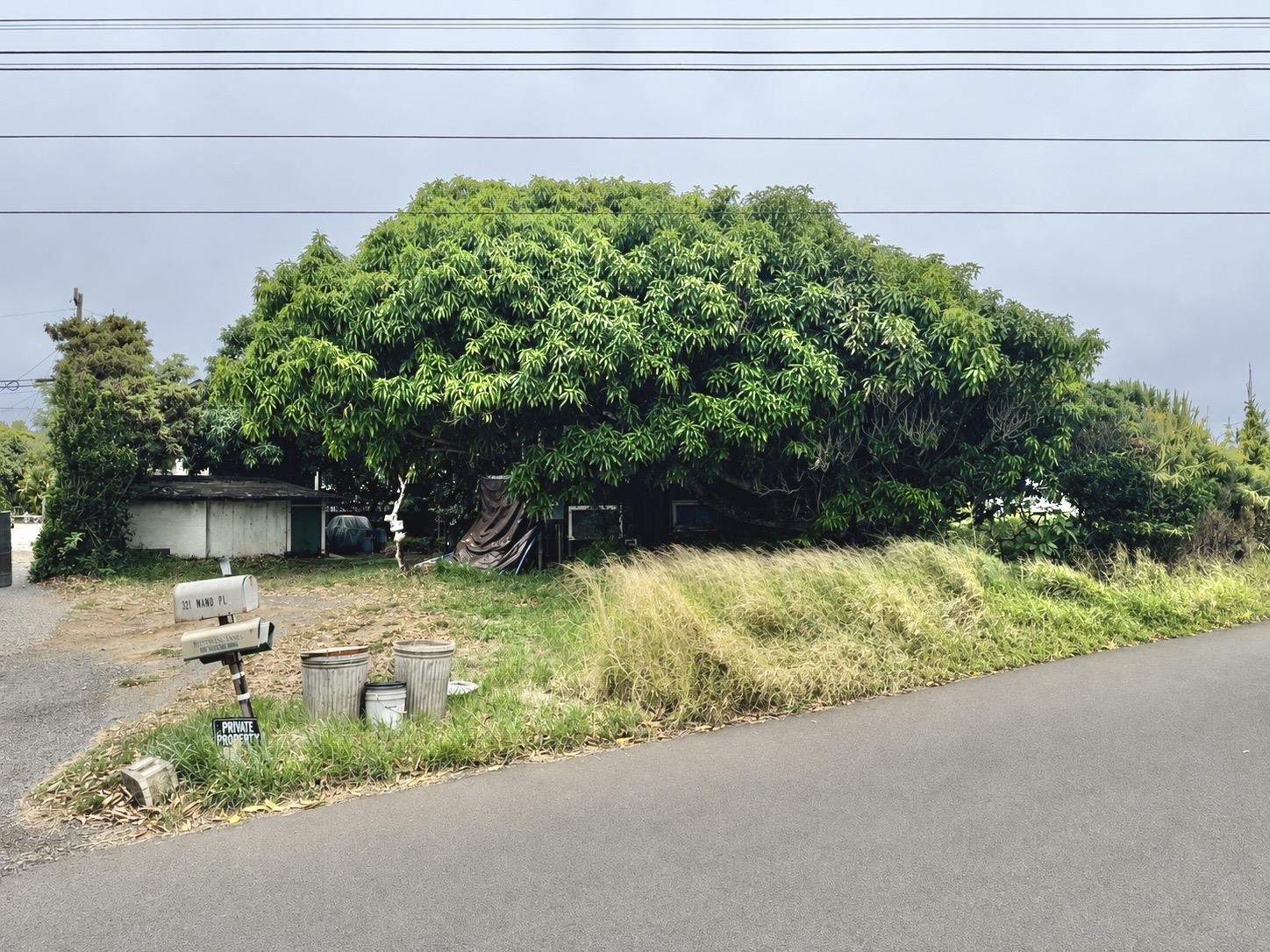 321  Mamo Pl , Wailuku home - photo 3 of 6