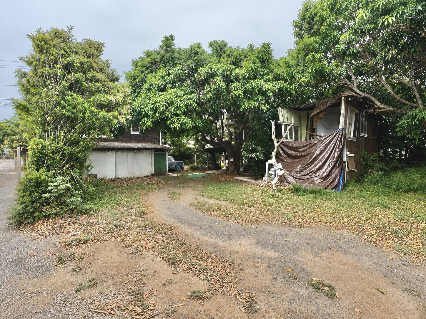 321  Mamo Pl , Wailuku home - photo 4 of 6