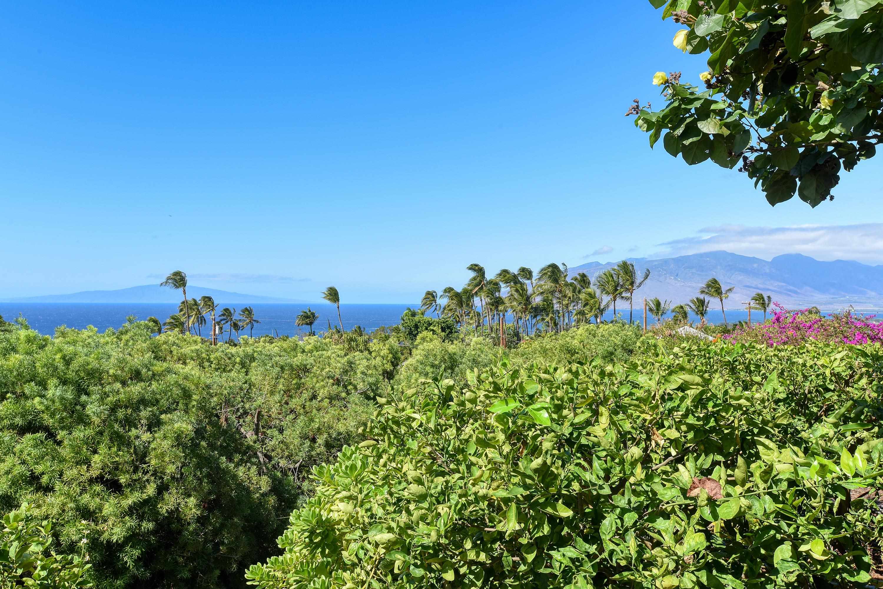 3220  Waileia Pl Maui Meadows, Maui Meadows home - photo 12 of 46