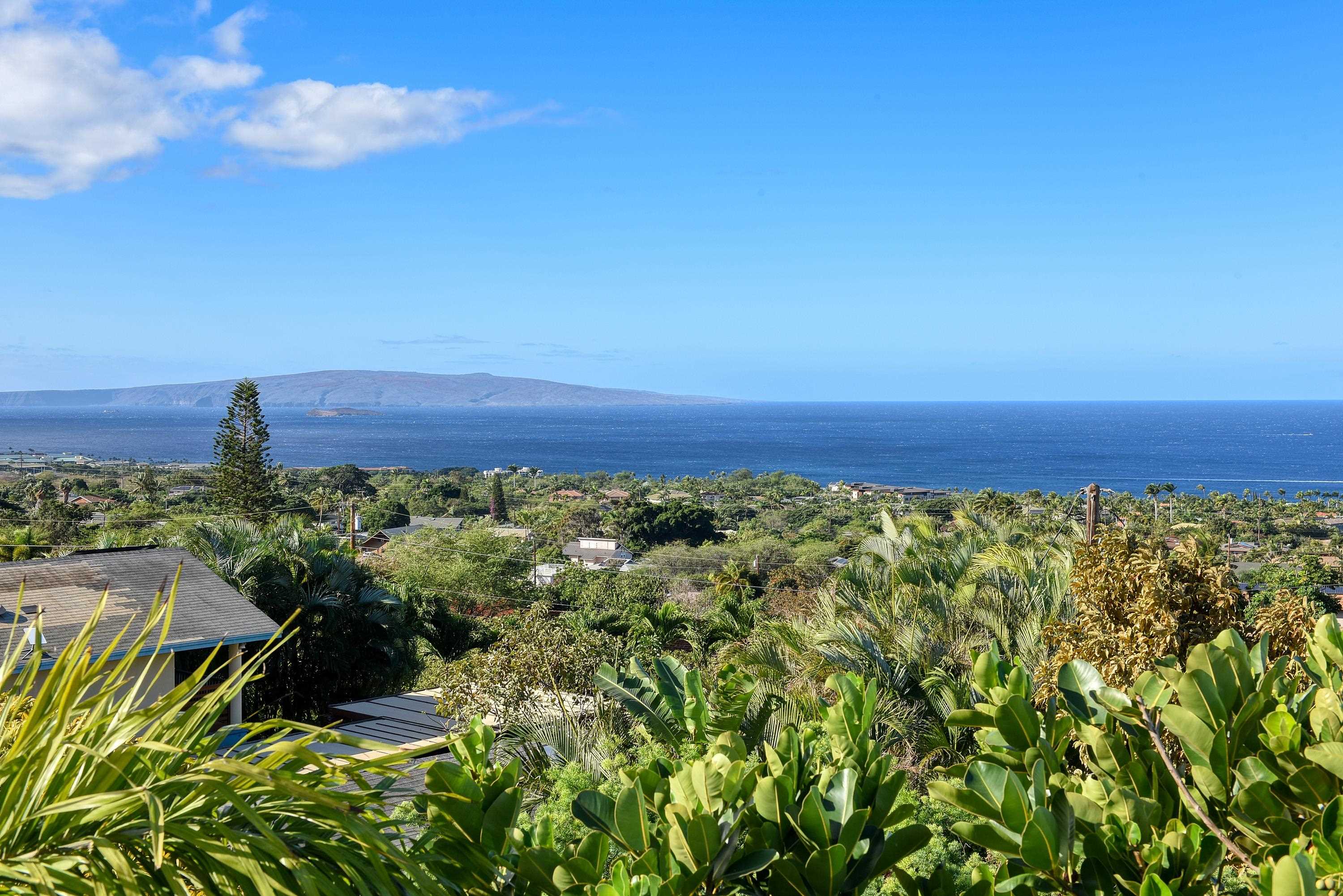 3220  Waileia Pl Maui Meadows, Maui Meadows home - photo 18 of 46