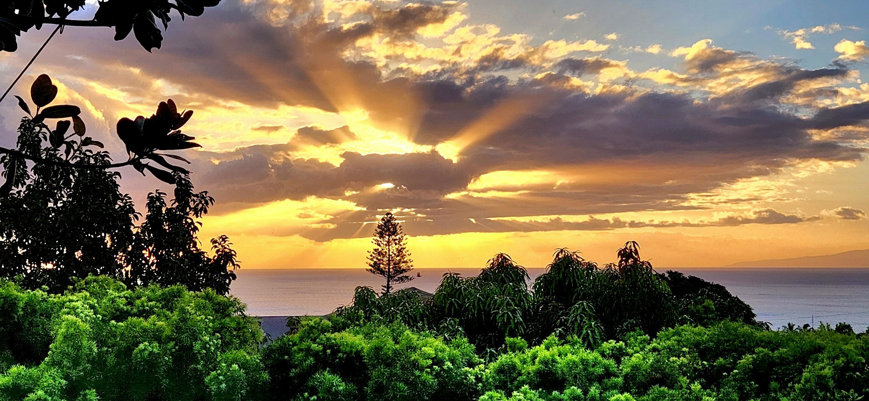 3220  Waileia Pl Maui Meadows, Maui Meadows home - photo 19 of 46