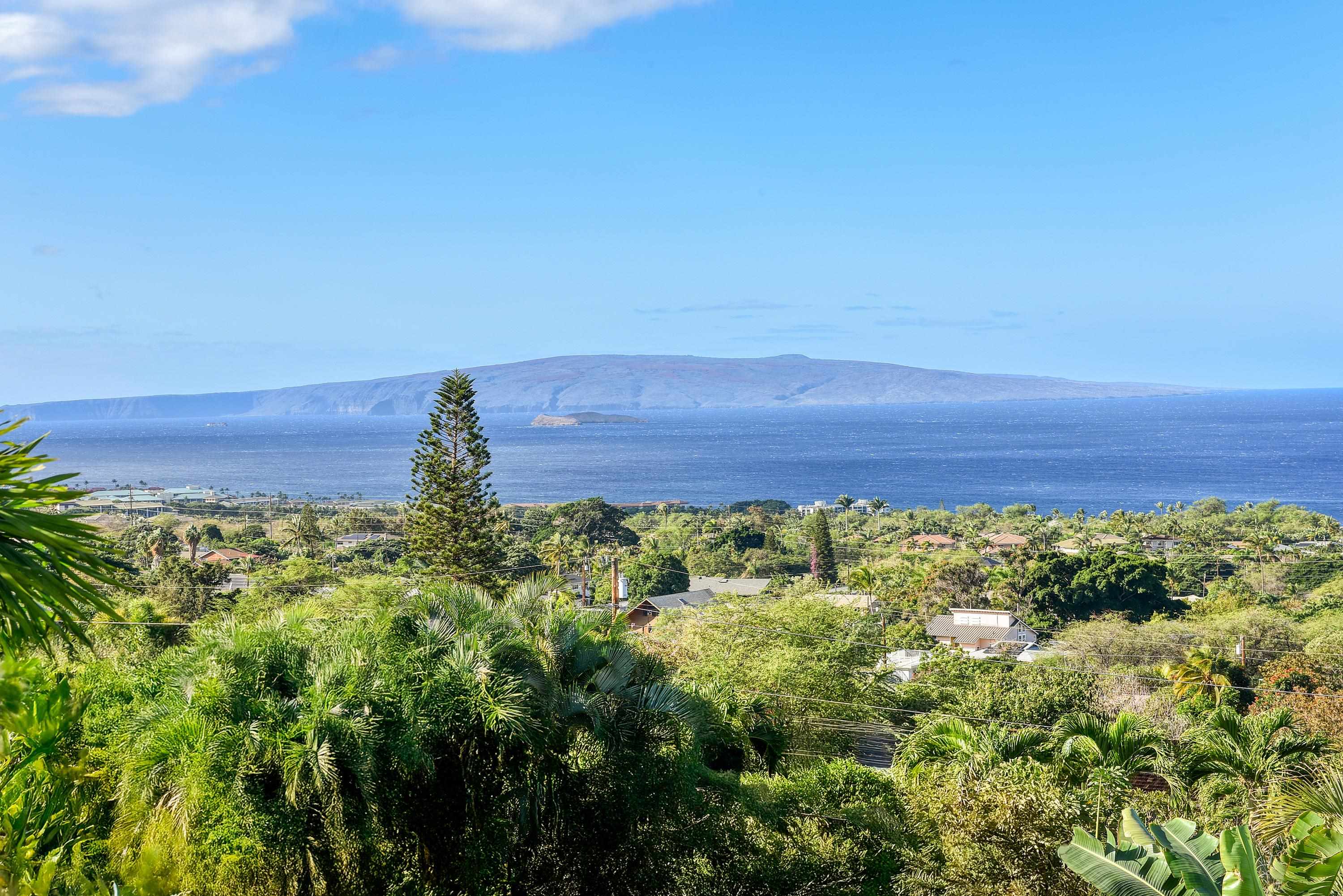 3220  Waileia Pl Maui Meadows, Maui Meadows home - photo 3 of 46