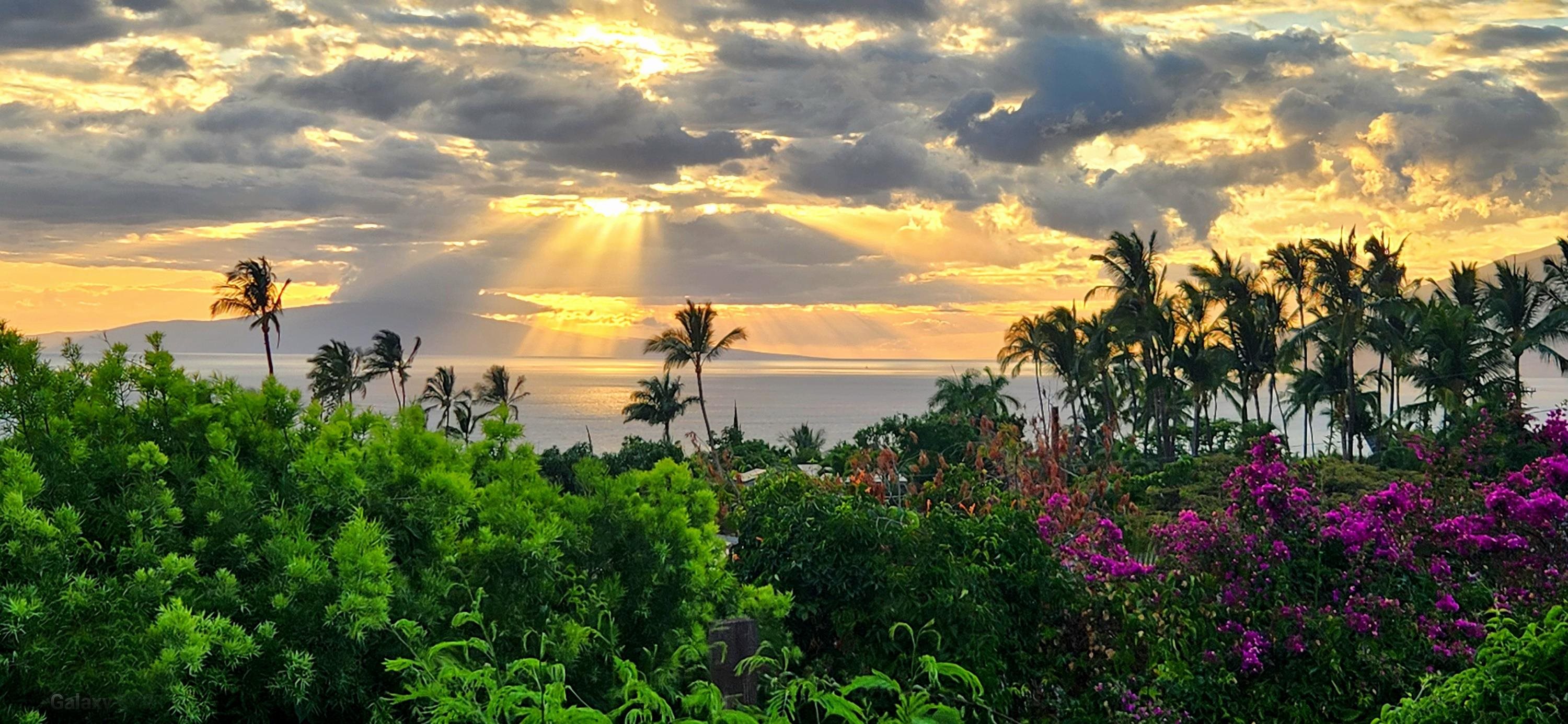 3220  Waileia Pl Maui Meadows, Maui Meadows home - photo 33 of 46