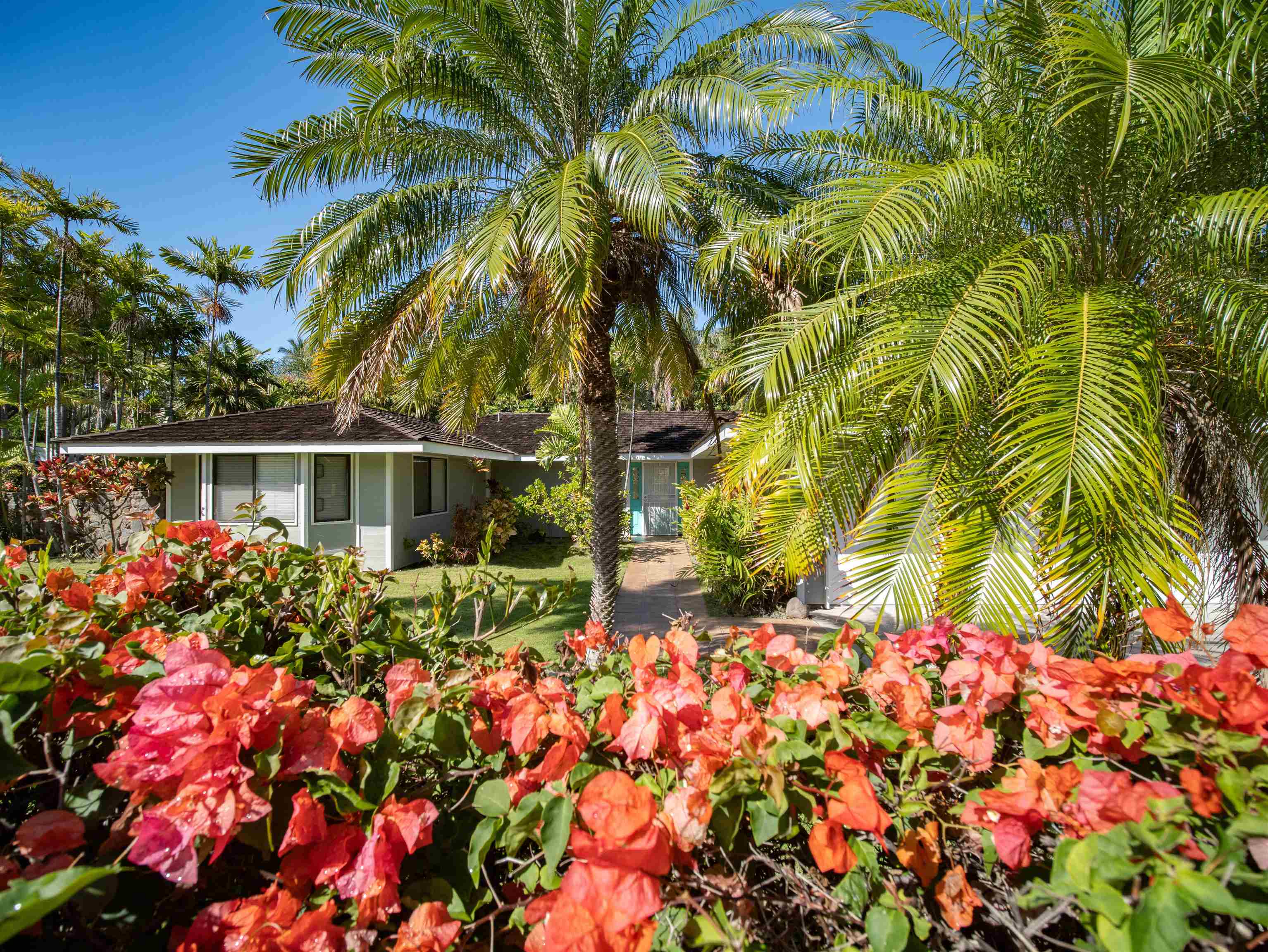 3236  Pikai Way Wailea Kai, Wailea/Makena home - photo 48 of 50
