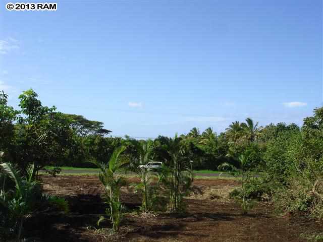 325 Alalele Rd  Hana, Hi vacant land for sale - photo 3 of 12