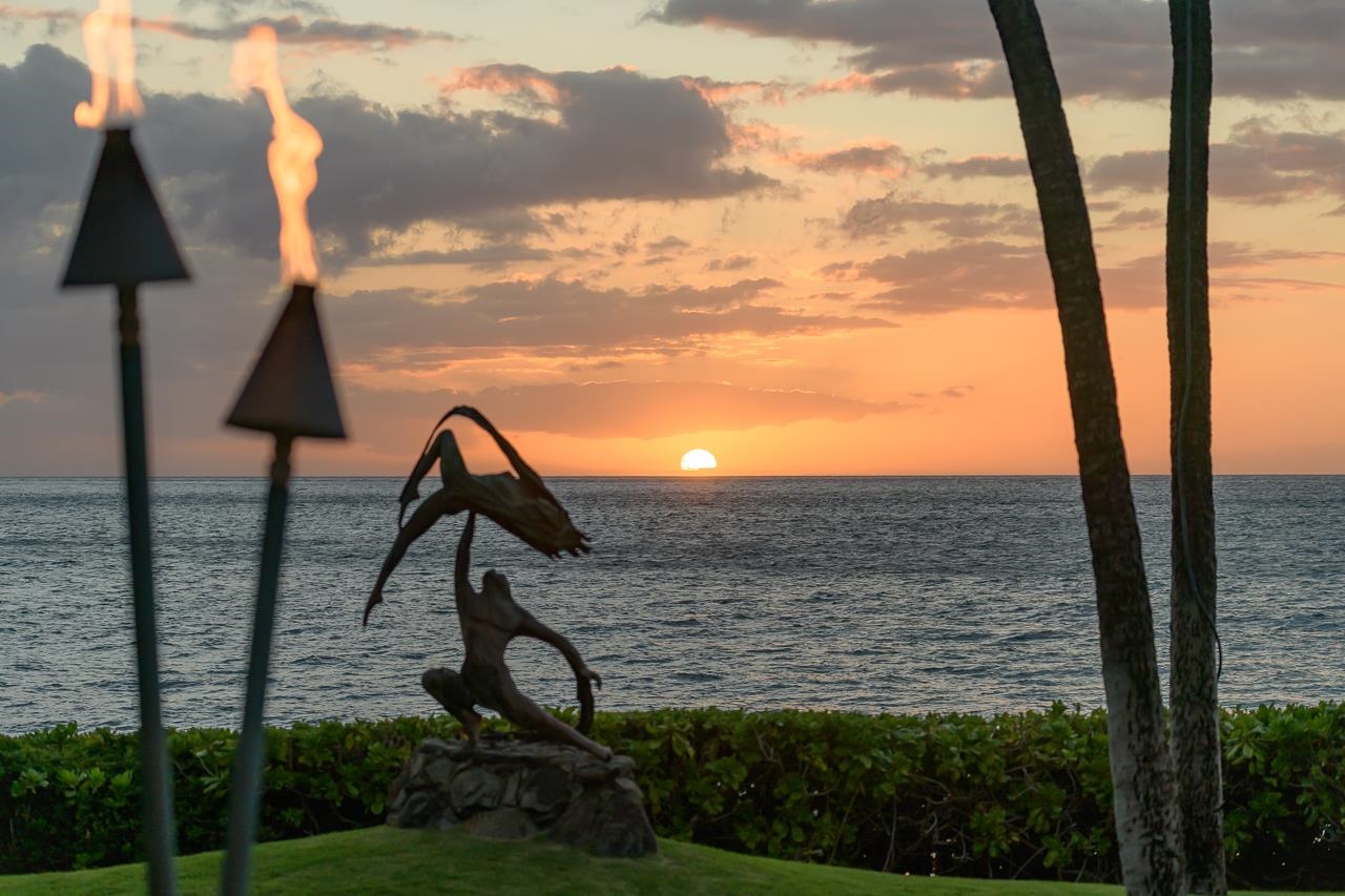 3254  Kihei Rd Keawakapu Beach, Kihei home - photo 29 of 32