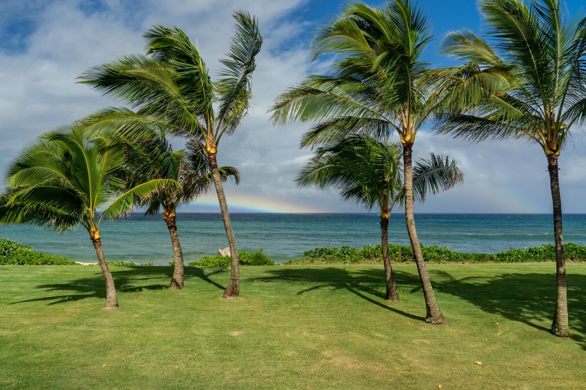 33  Hana Hwy Paia Town, Spreckelsville/Paia/Kuau home - photo 26 of 50