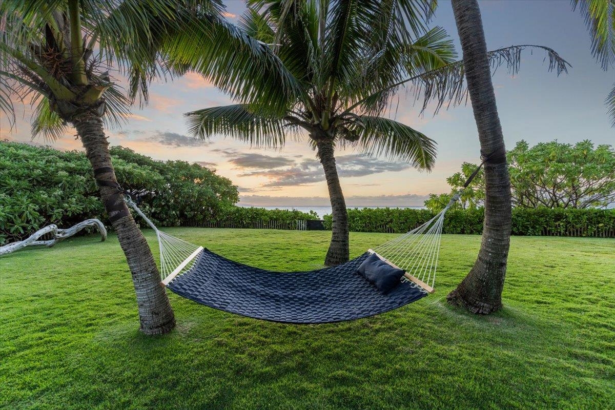 33  Hana Hwy Paia Town, Spreckelsville/Paia/Kuau home - photo 11 of 50