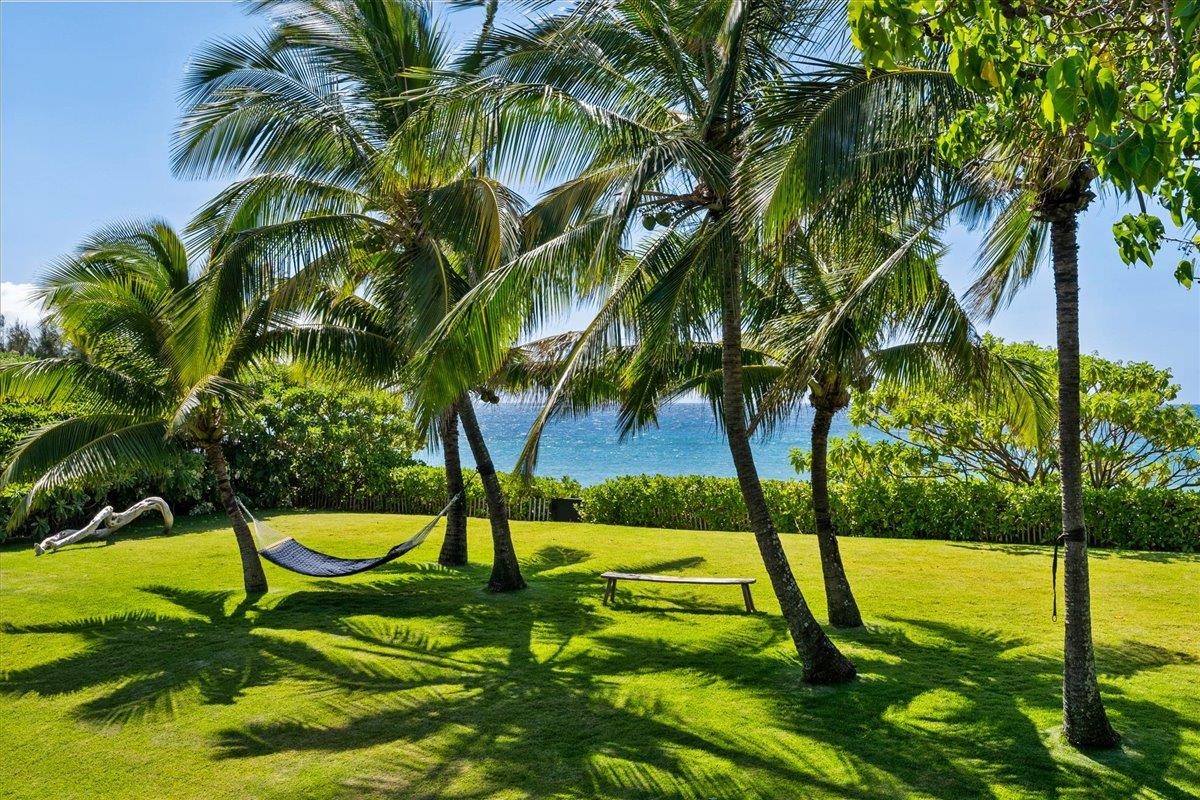 33  Hana Hwy Paia Town, Spreckelsville/Paia/Kuau home - photo 32 of 50
