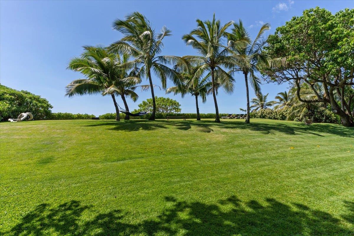 33  Hana Hwy Paia Town, Spreckelsville/Paia/Kuau home - photo 43 of 50